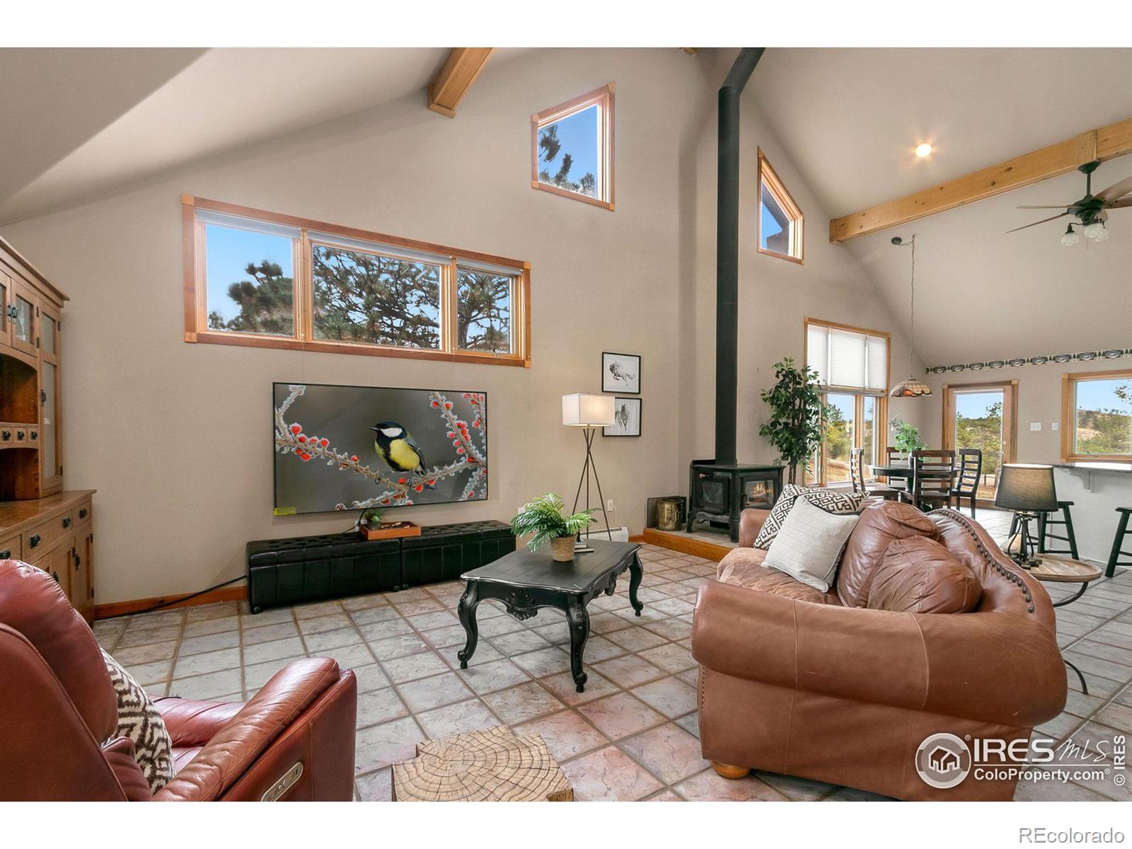 MLS Image #22 for 9512  red mountain road,livermore, Colorado