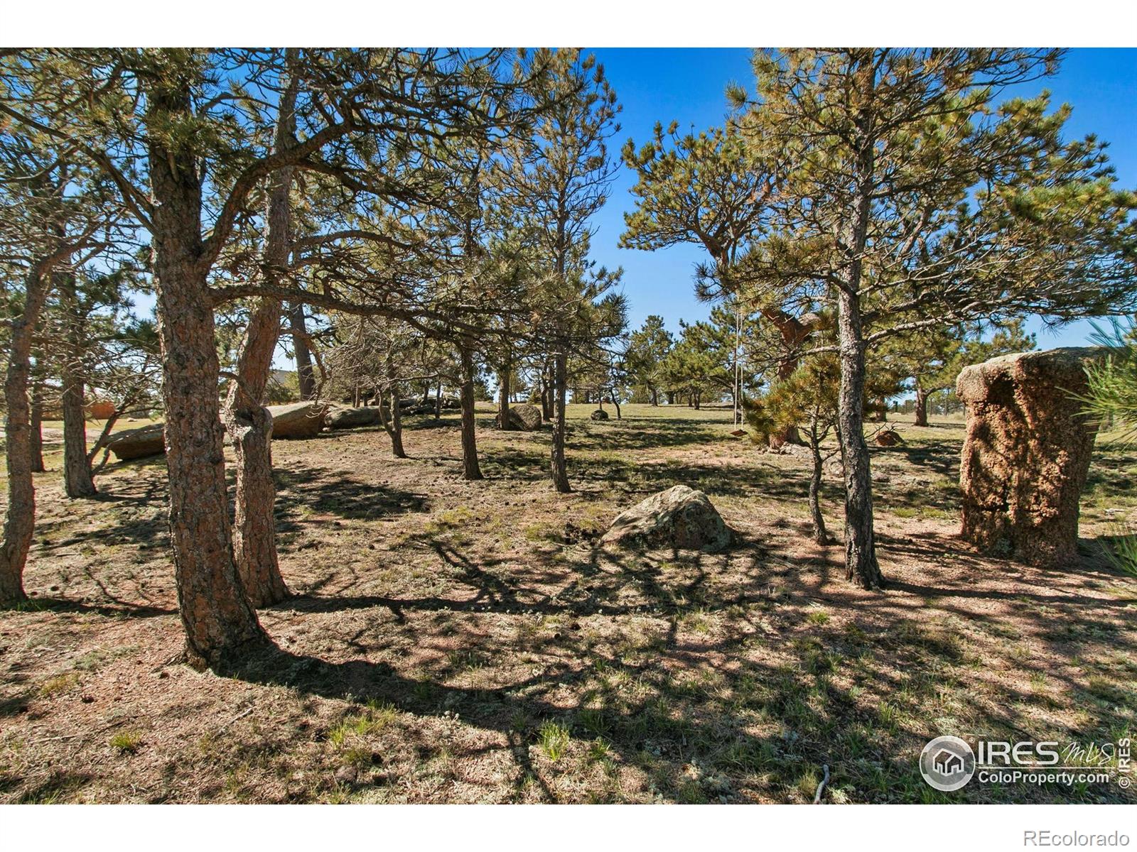 MLS Image #3 for 9512  red mountain road,livermore, Colorado