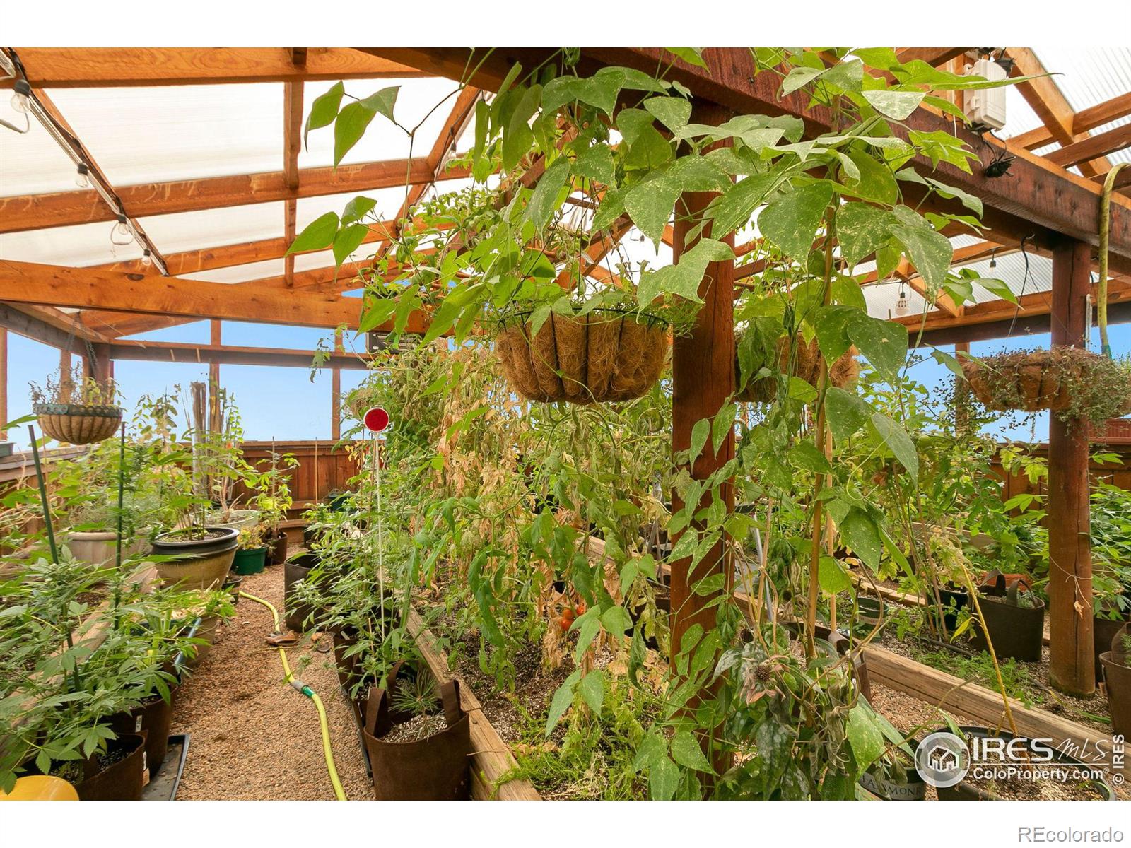 MLS Image #7 for 9512  red mountain road,livermore, Colorado