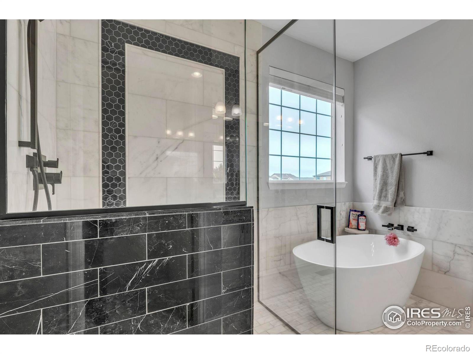 MLS Image #15 for 17012  lipan street,broomfield, Colorado