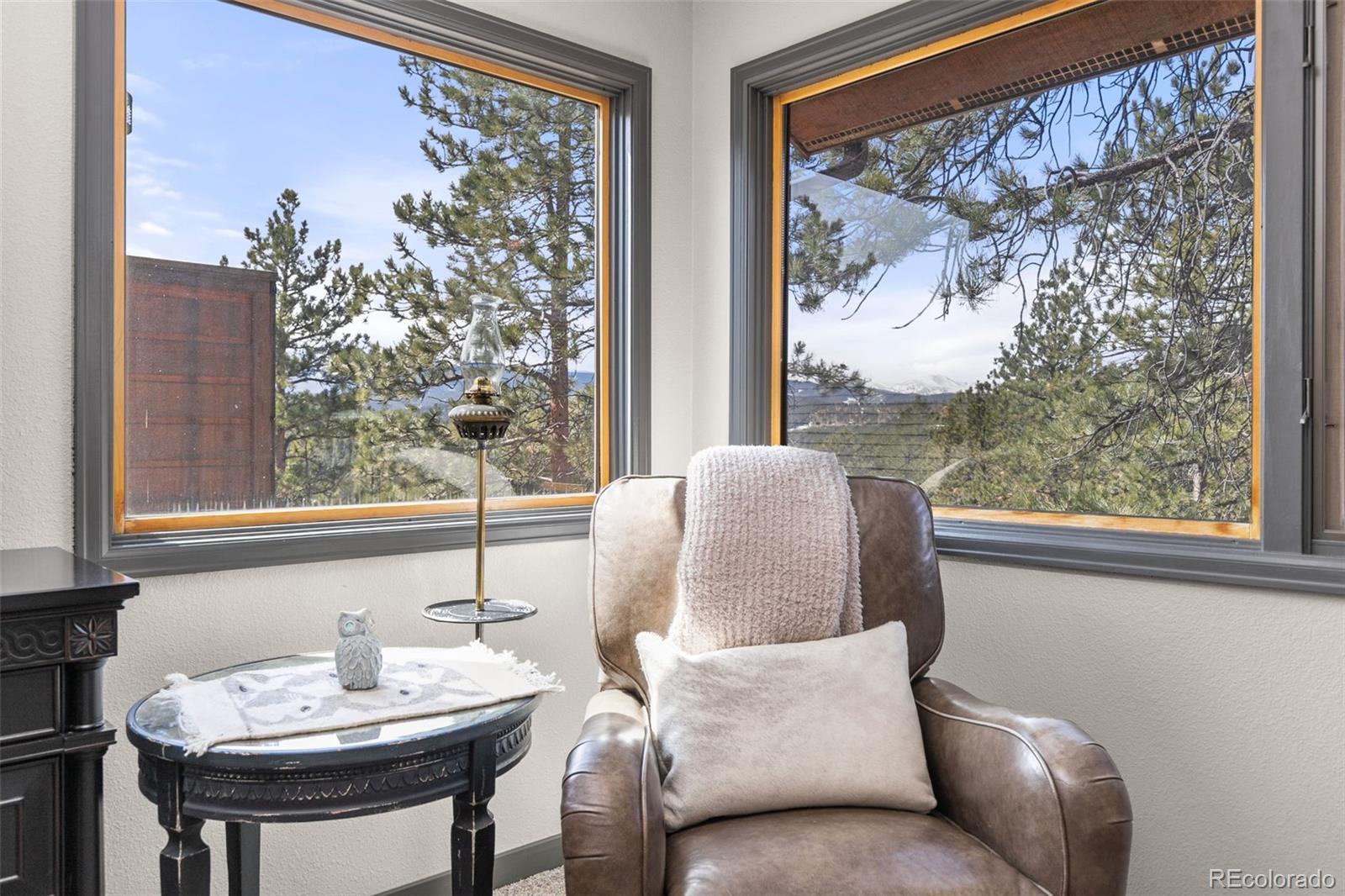 MLS Image #21 for 7395  heiter hill drive,evergreen, Colorado