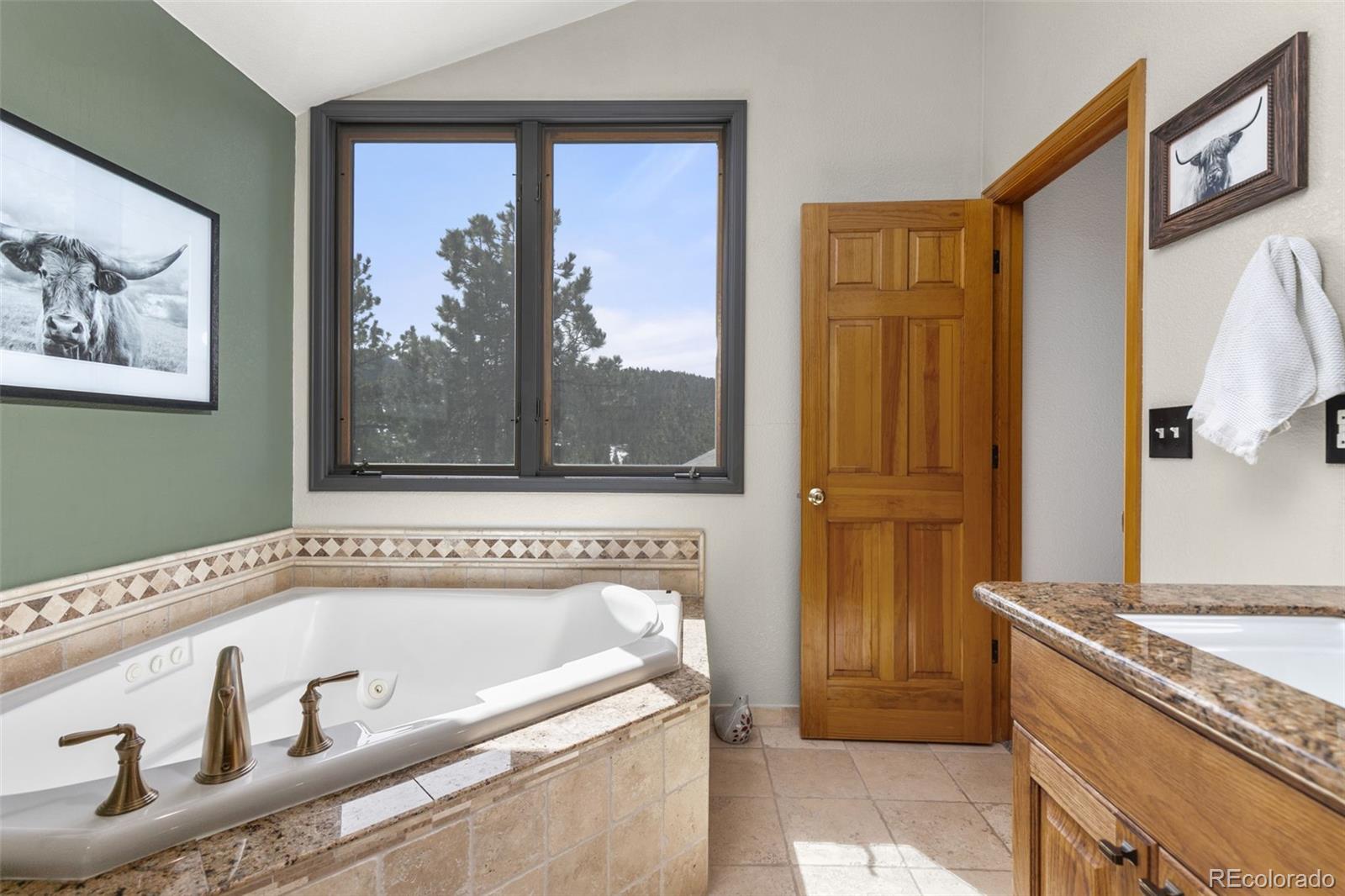 MLS Image #23 for 7395  heiter hill drive,evergreen, Colorado