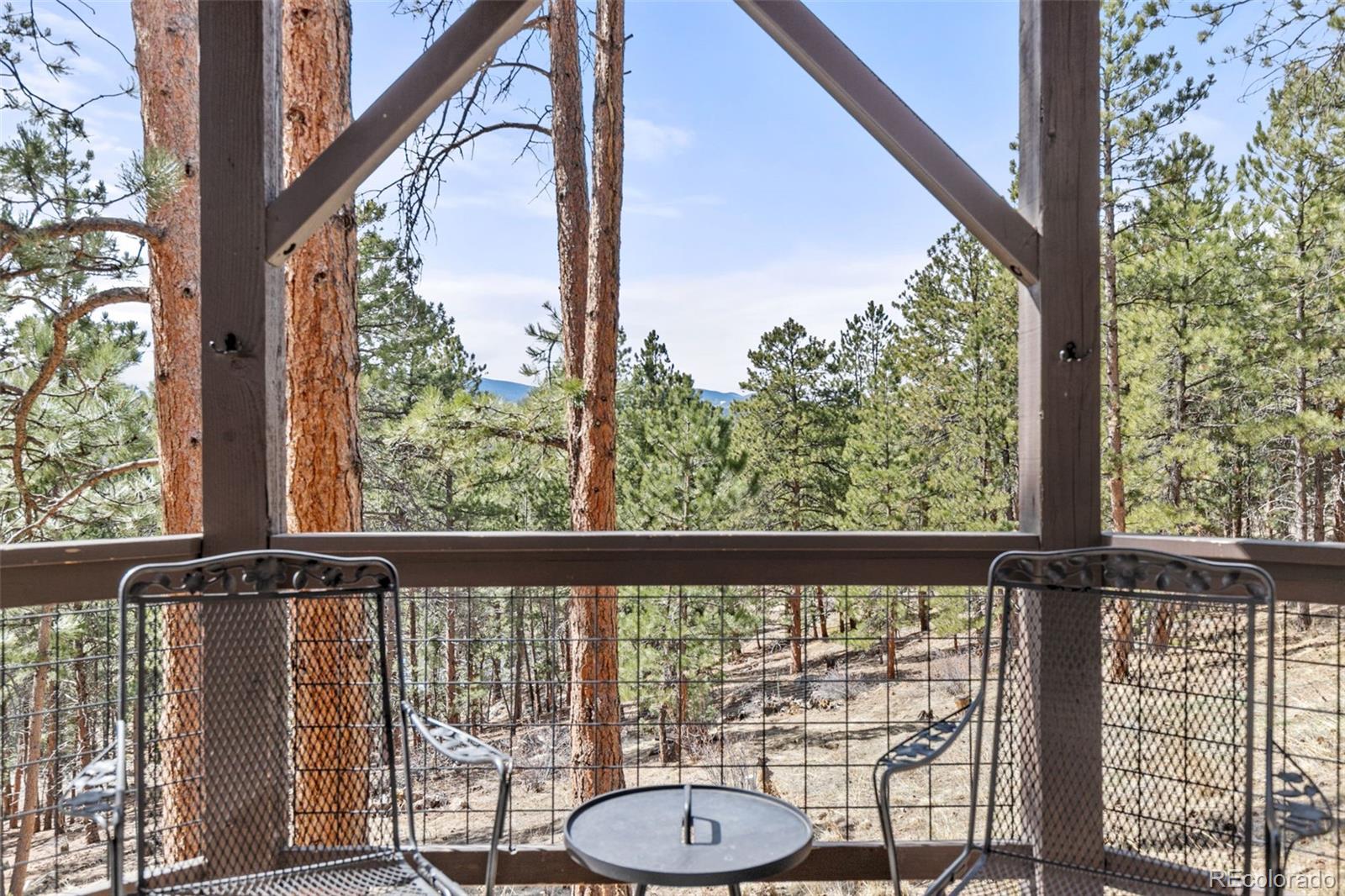 MLS Image #41 for 7395  heiter hill drive,evergreen, Colorado