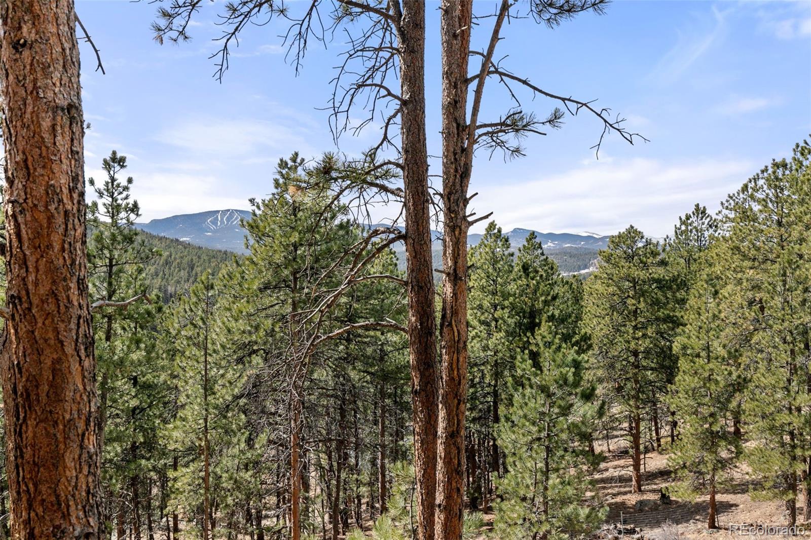 MLS Image #43 for 7395  heiter hill drive,evergreen, Colorado