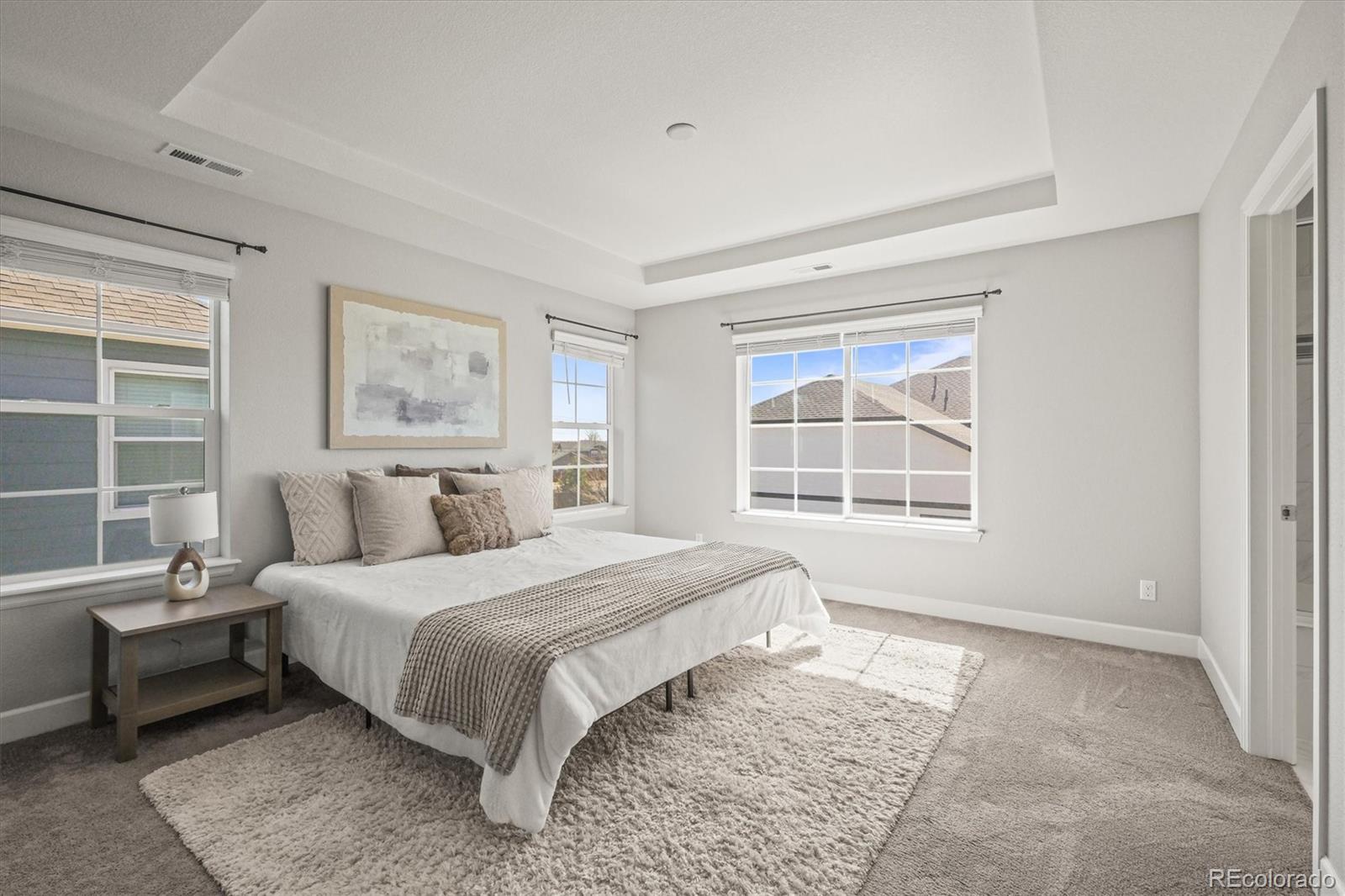 MLS Image #20 for 1624  pinion wing circle,castle rock, Colorado