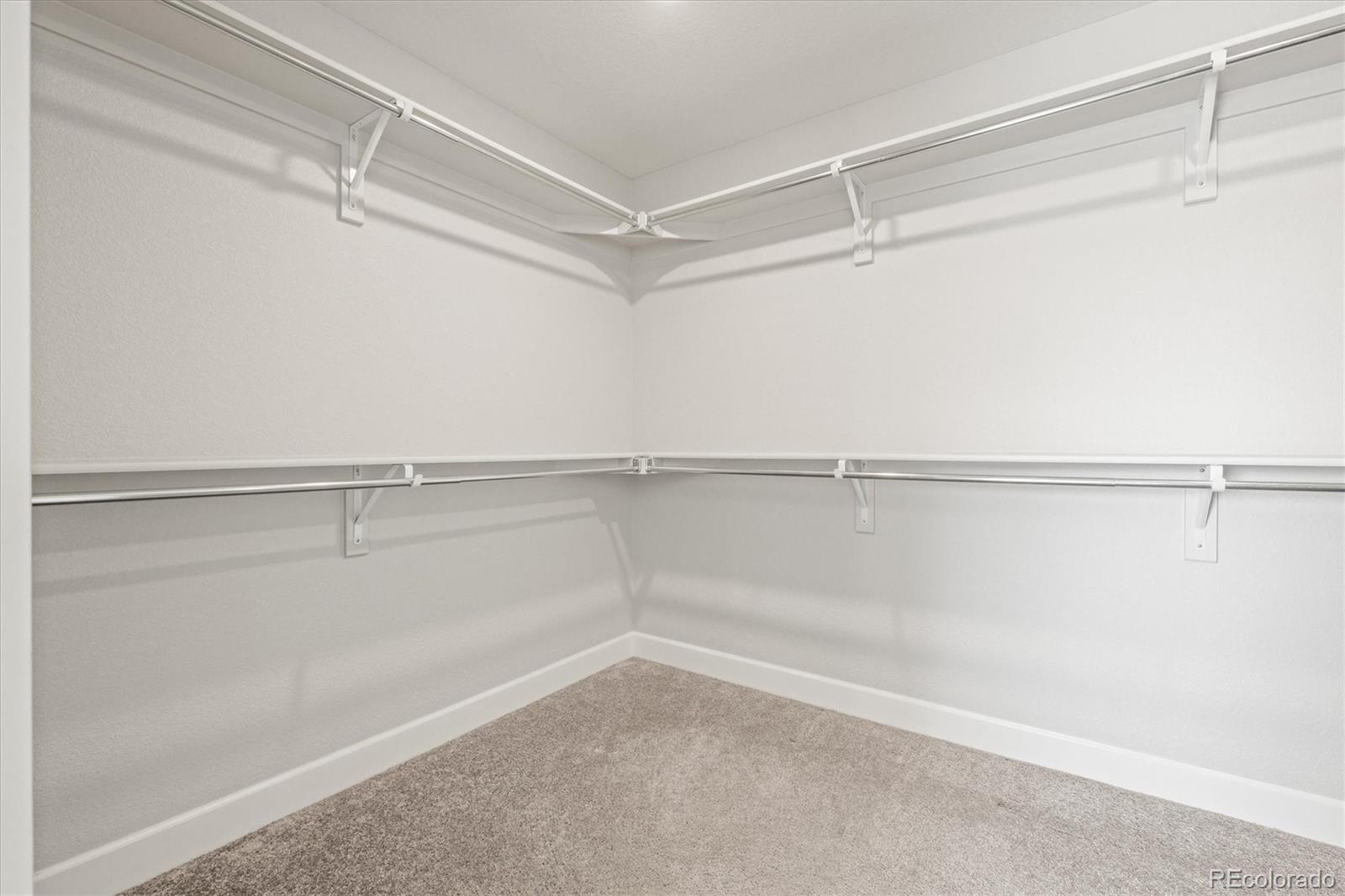 MLS Image #26 for 1624  pinion wing circle,castle rock, Colorado