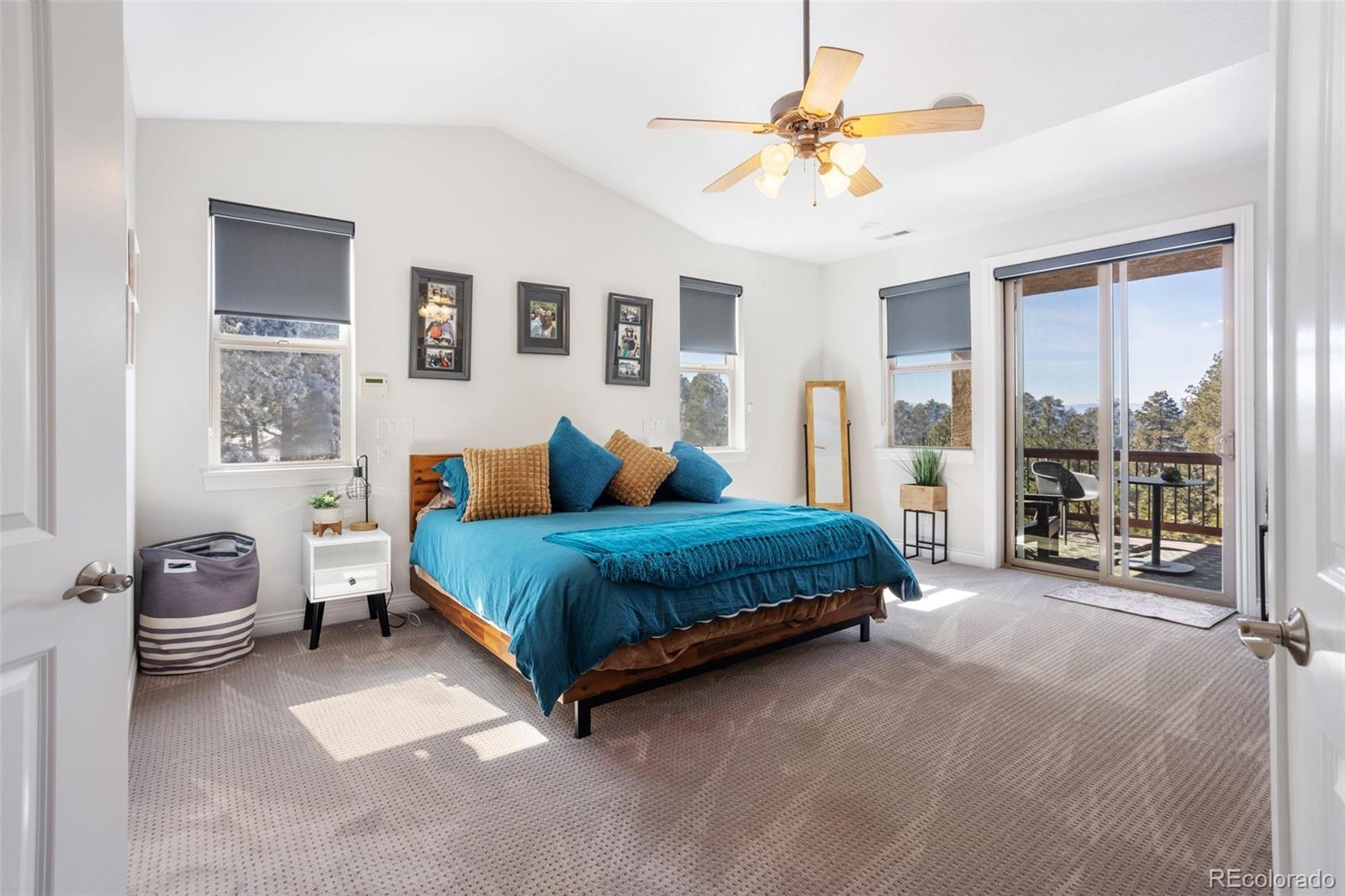 MLS Image #25 for 16182  timber meadow drive,colorado springs, Colorado