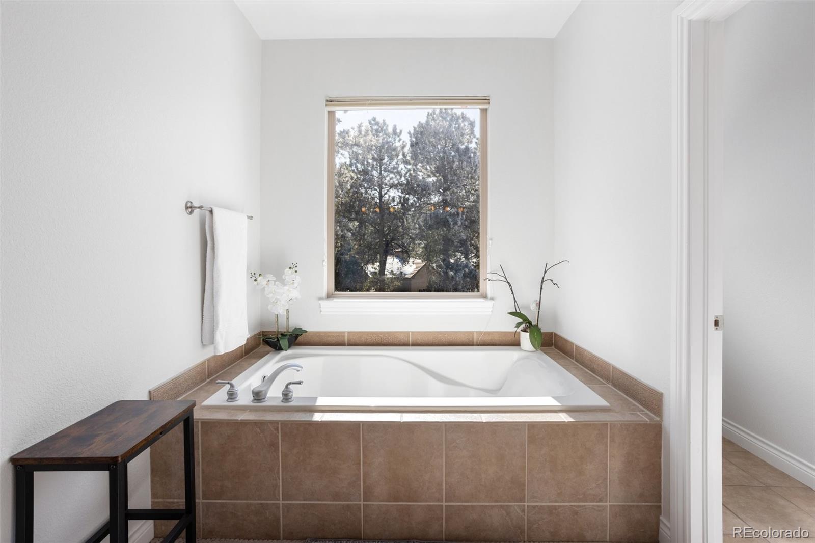 MLS Image #28 for 16182  timber meadow drive,colorado springs, Colorado