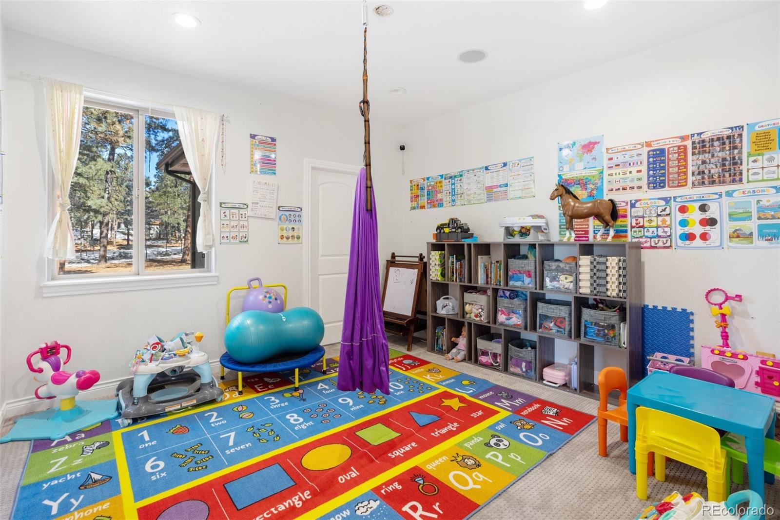 MLS Image #40 for 16182  timber meadow drive,colorado springs, Colorado