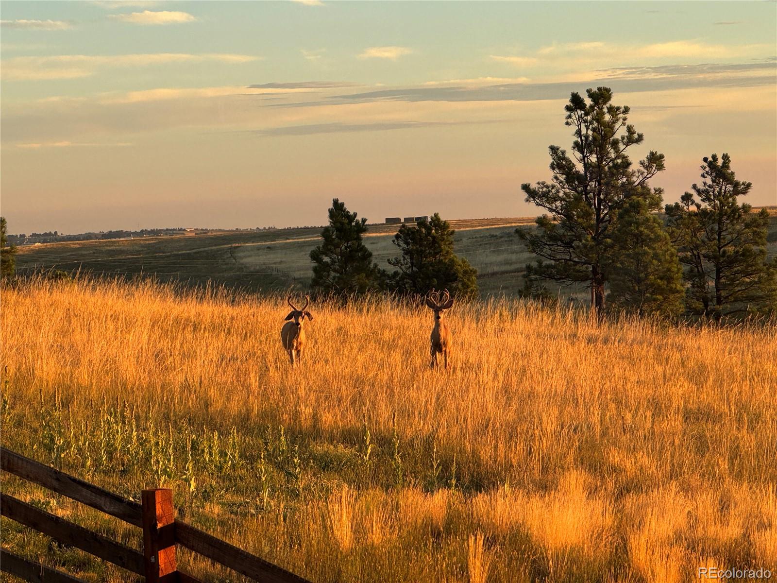 MLS Image #29 for 575  howling circle,elizabeth, Colorado