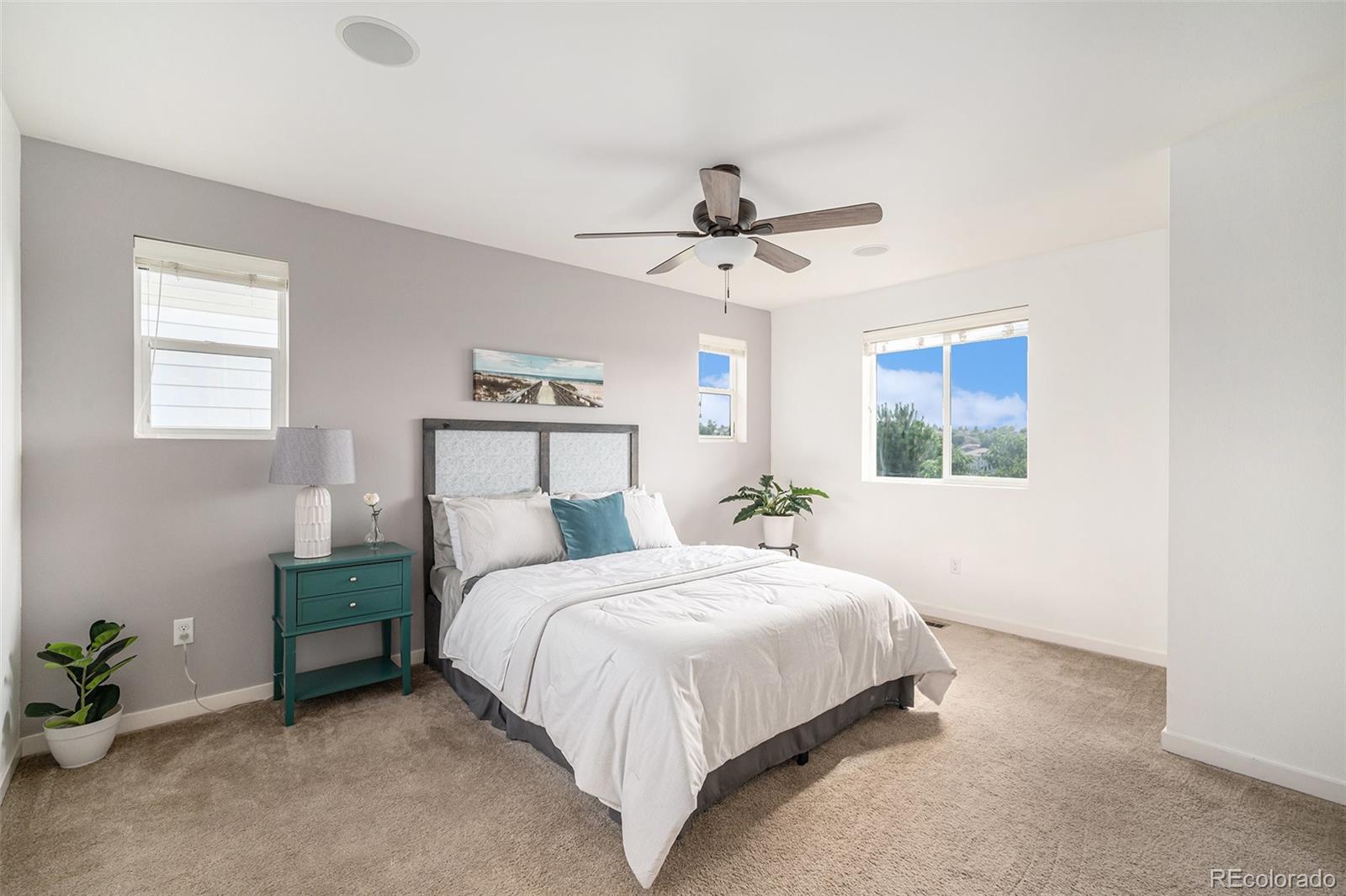 MLS Image #15 for 3389  cranston circle,highlands ranch, Colorado