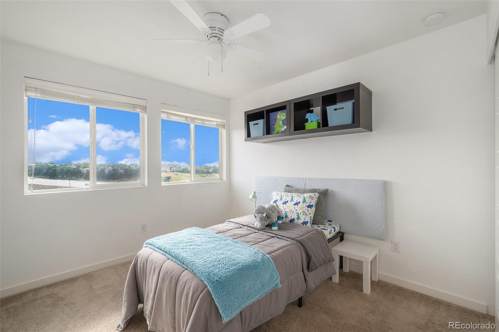 MLS Image #17 for 3389  cranston circle,highlands ranch, Colorado