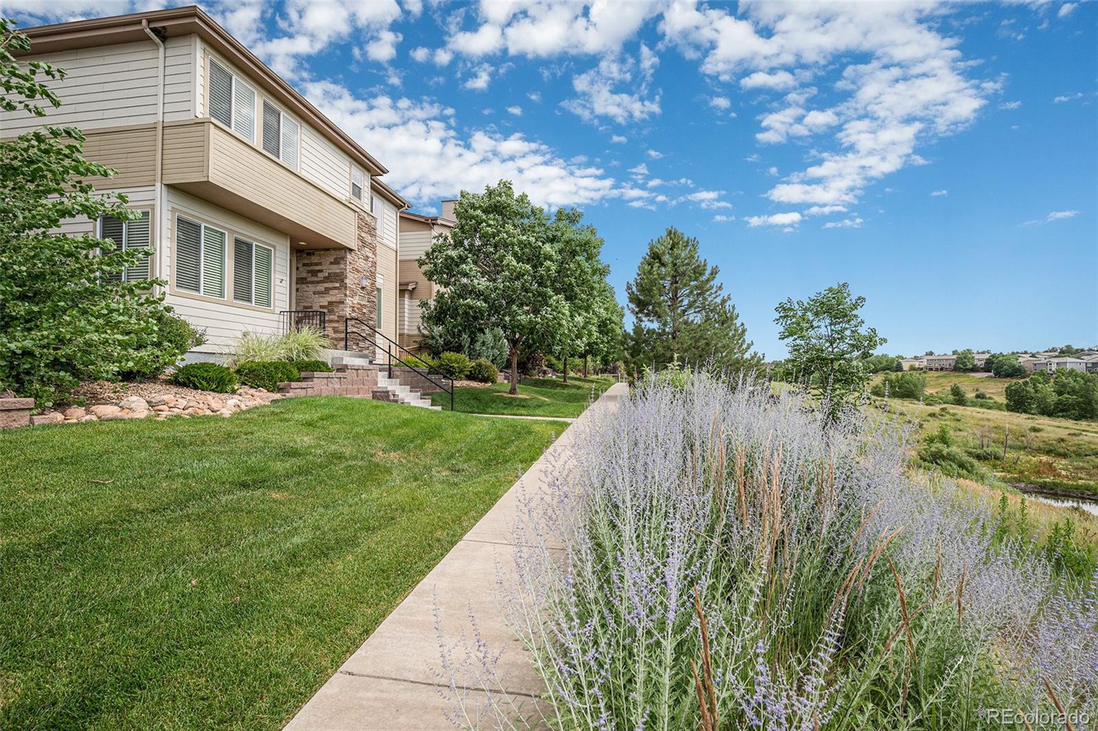 MLS Image #29 for 3389  cranston circle,highlands ranch, Colorado