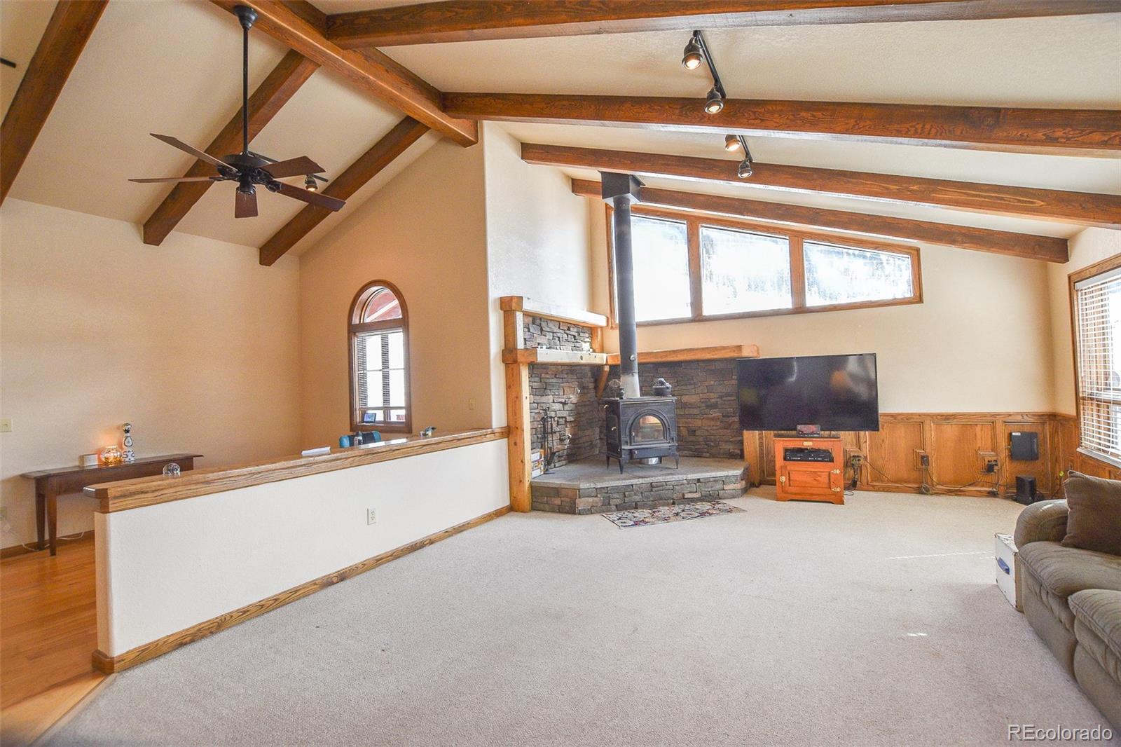 MLS Image #10 for 206  la font drive,creede, Colorado