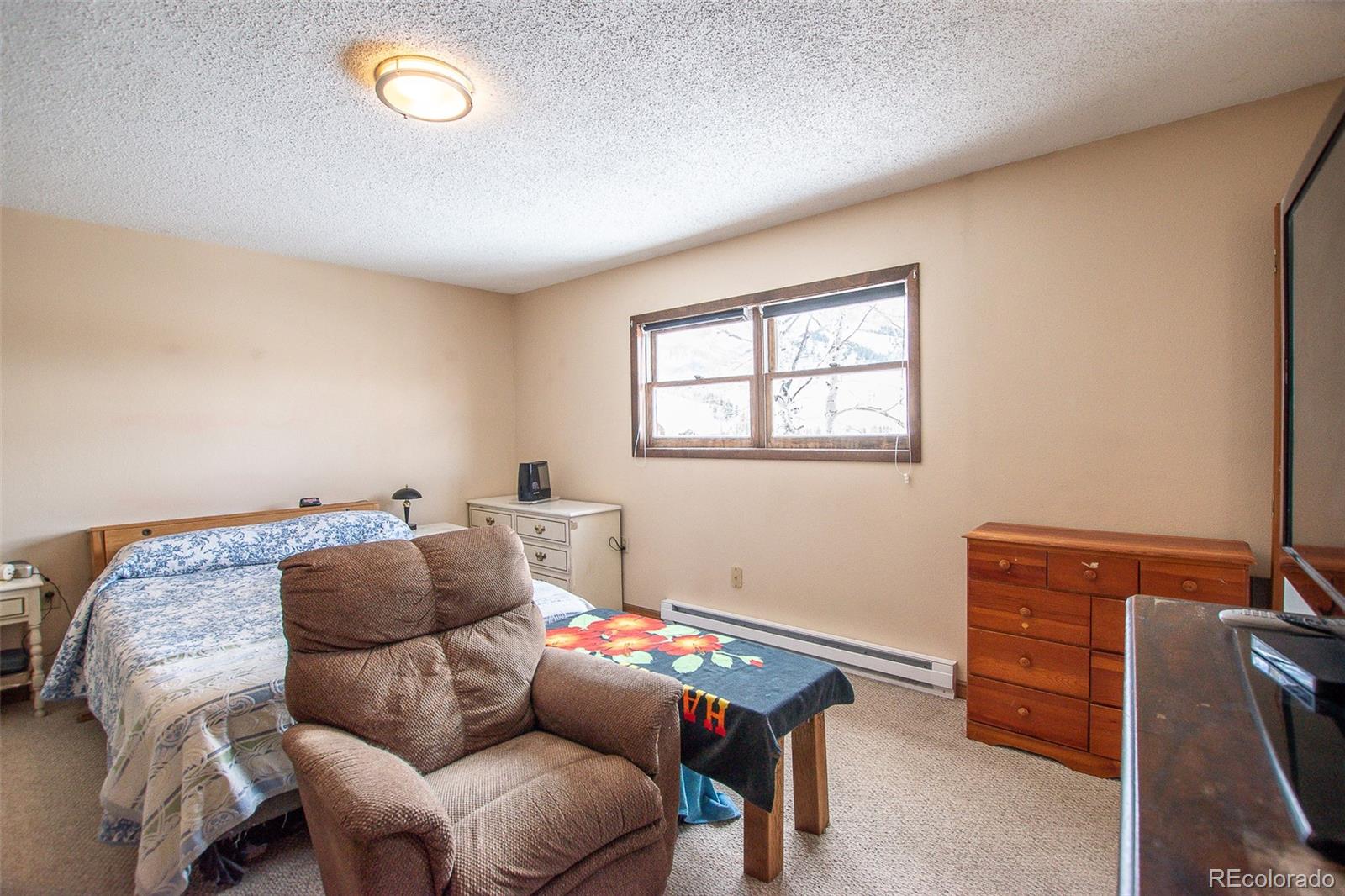 MLS Image #15 for 206  la font drive,creede, Colorado