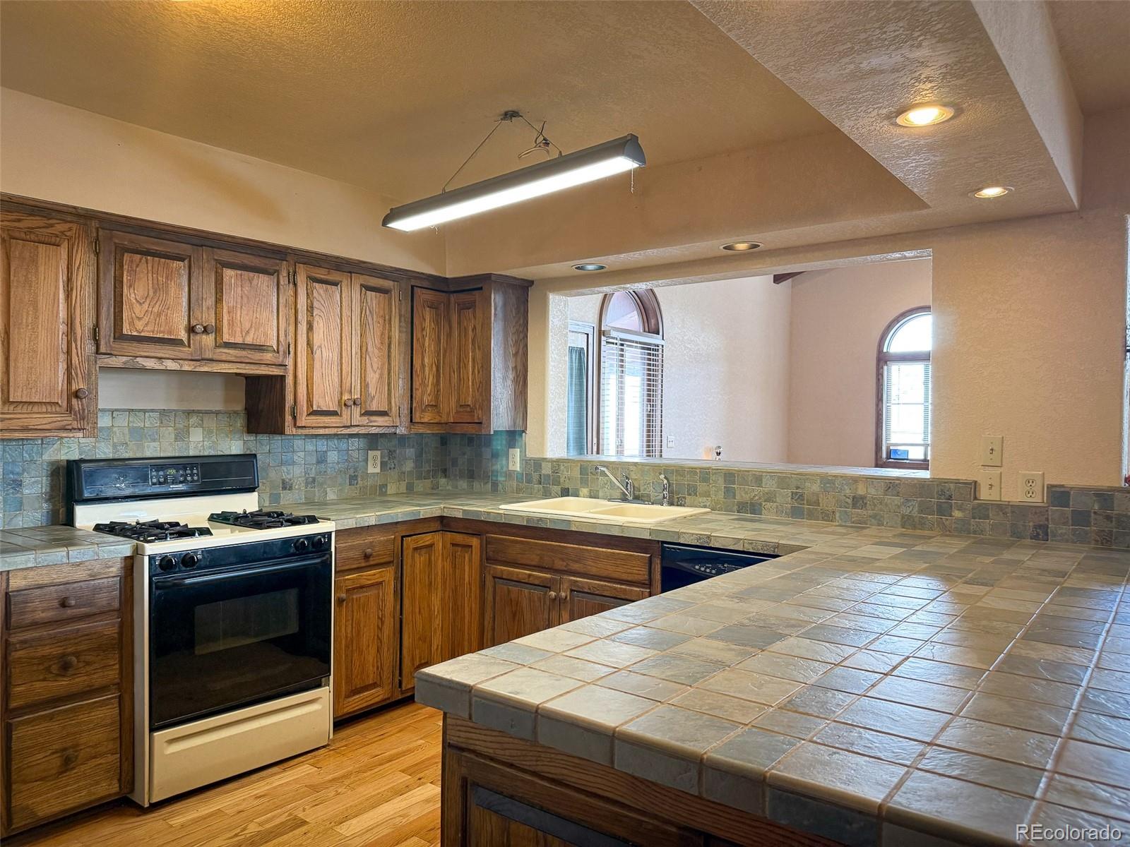 MLS Image #2 for 206  la font drive,creede, Colorado