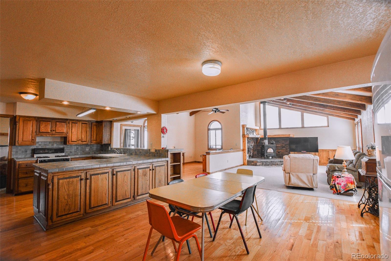 MLS Image #4 for 206  la font drive,creede, Colorado