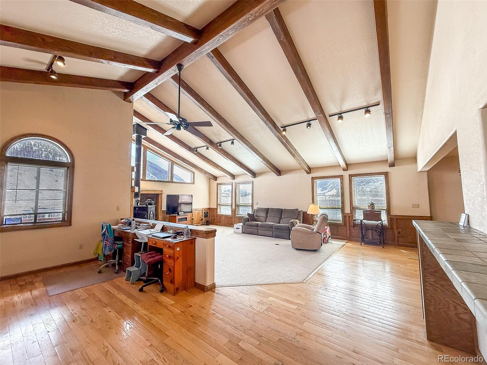 MLS Image #5 for 206  la font drive,creede, Colorado