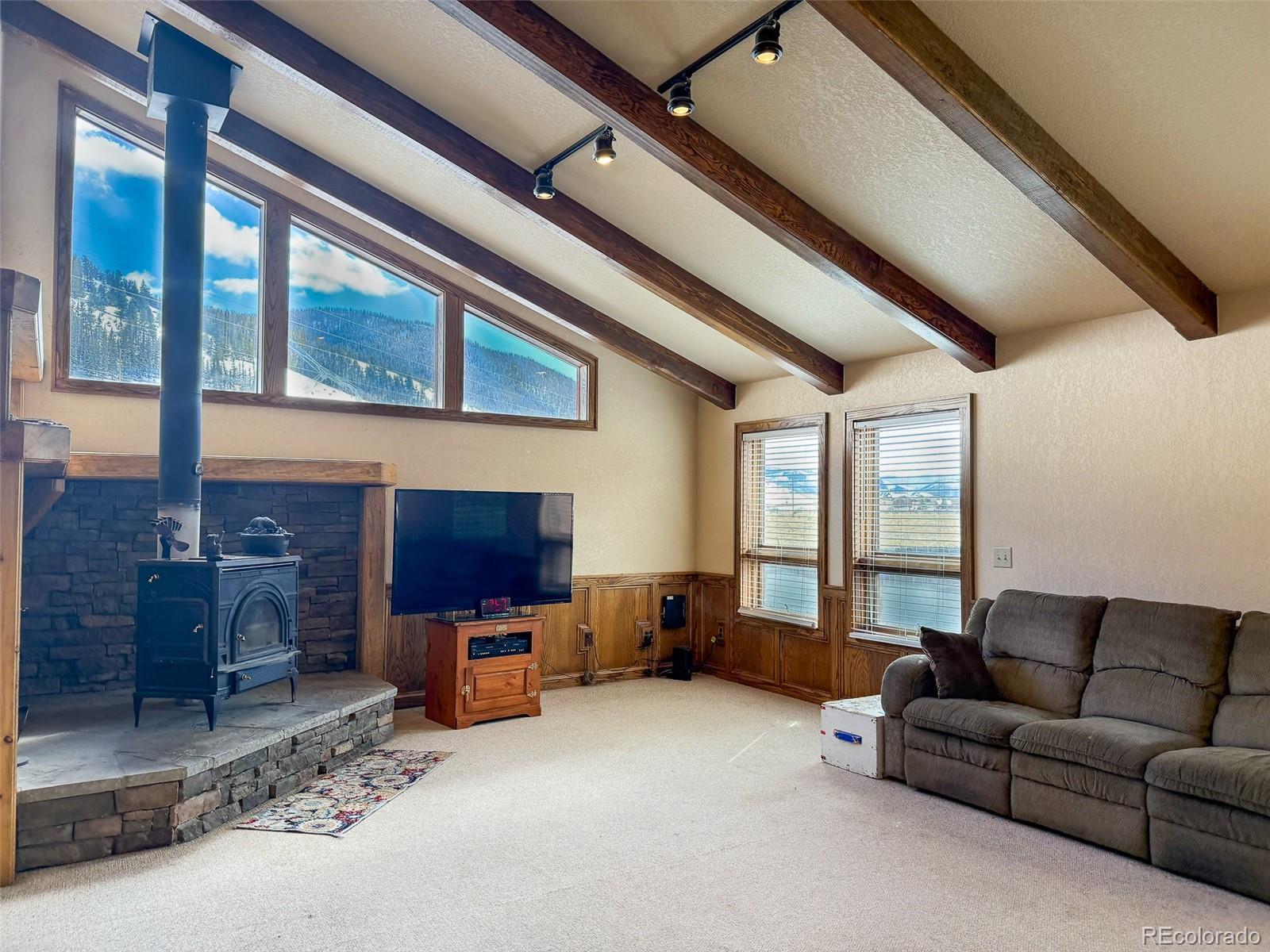 MLS Image #7 for 206  la font drive,creede, Colorado