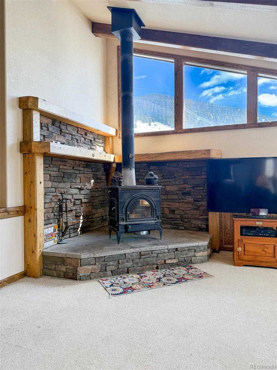 MLS Image #8 for 206  la font drive,creede, Colorado