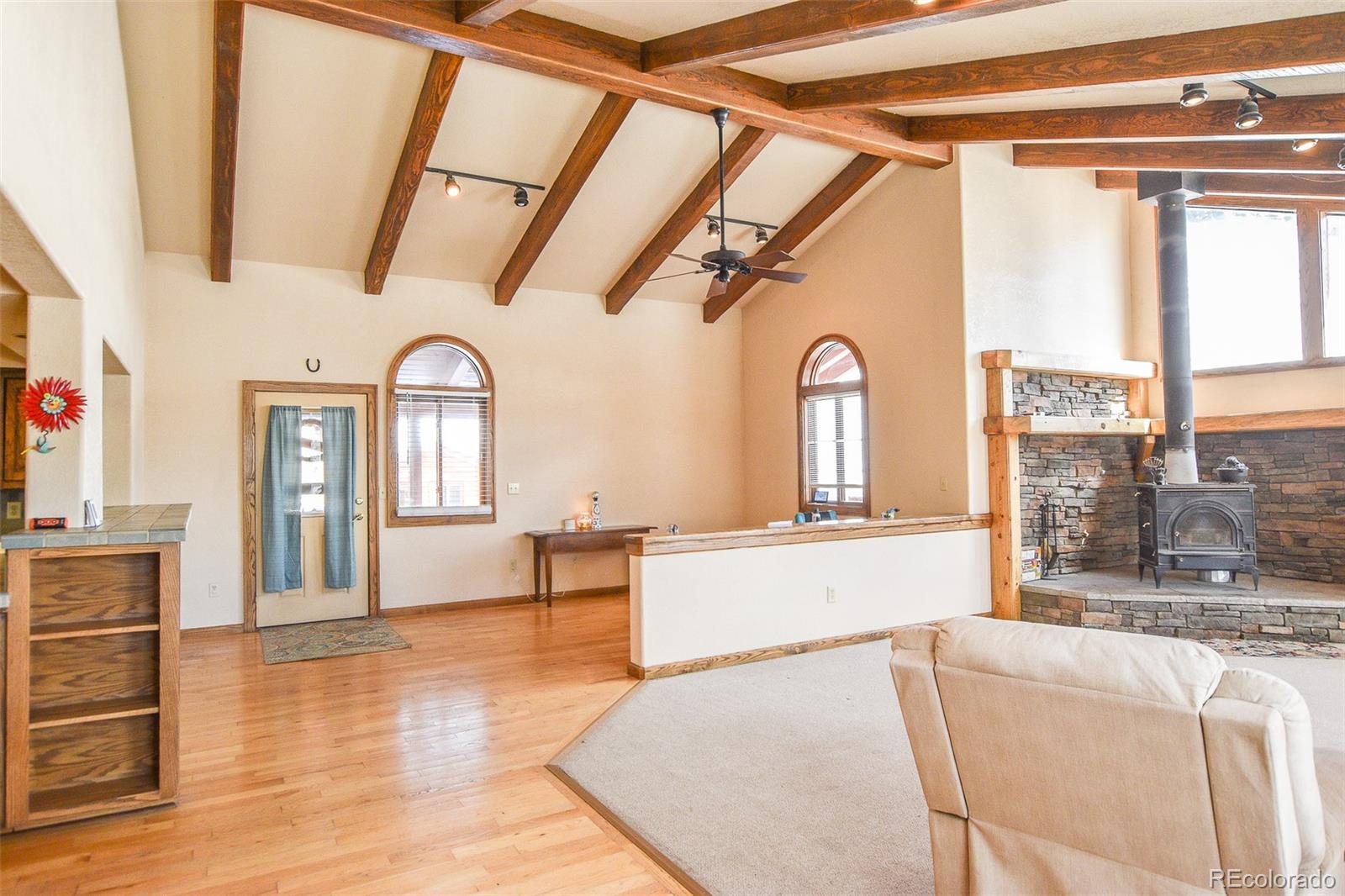 MLS Image #9 for 206  la font drive,creede, Colorado