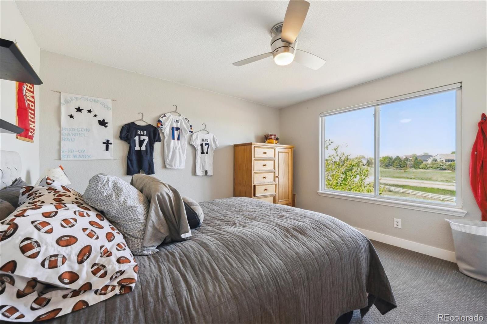 MLS Image #26 for 14953  akron court,brighton, Colorado