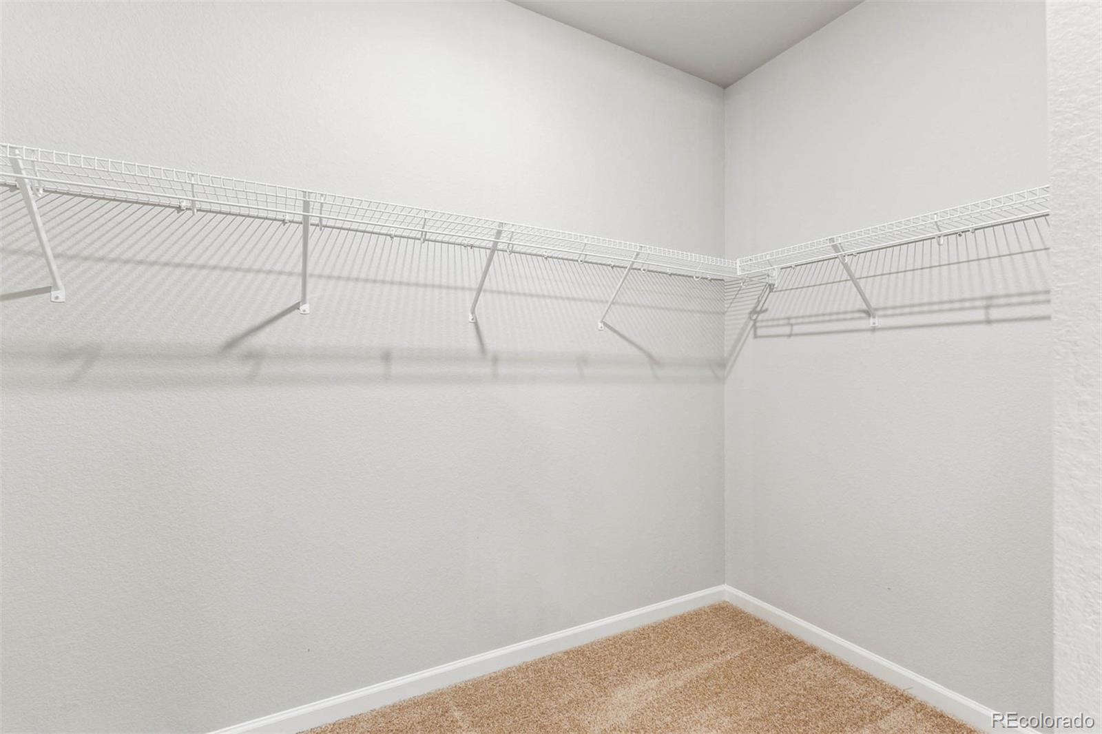 MLS Image #9 for 1052  long meadows street,severance, Colorado