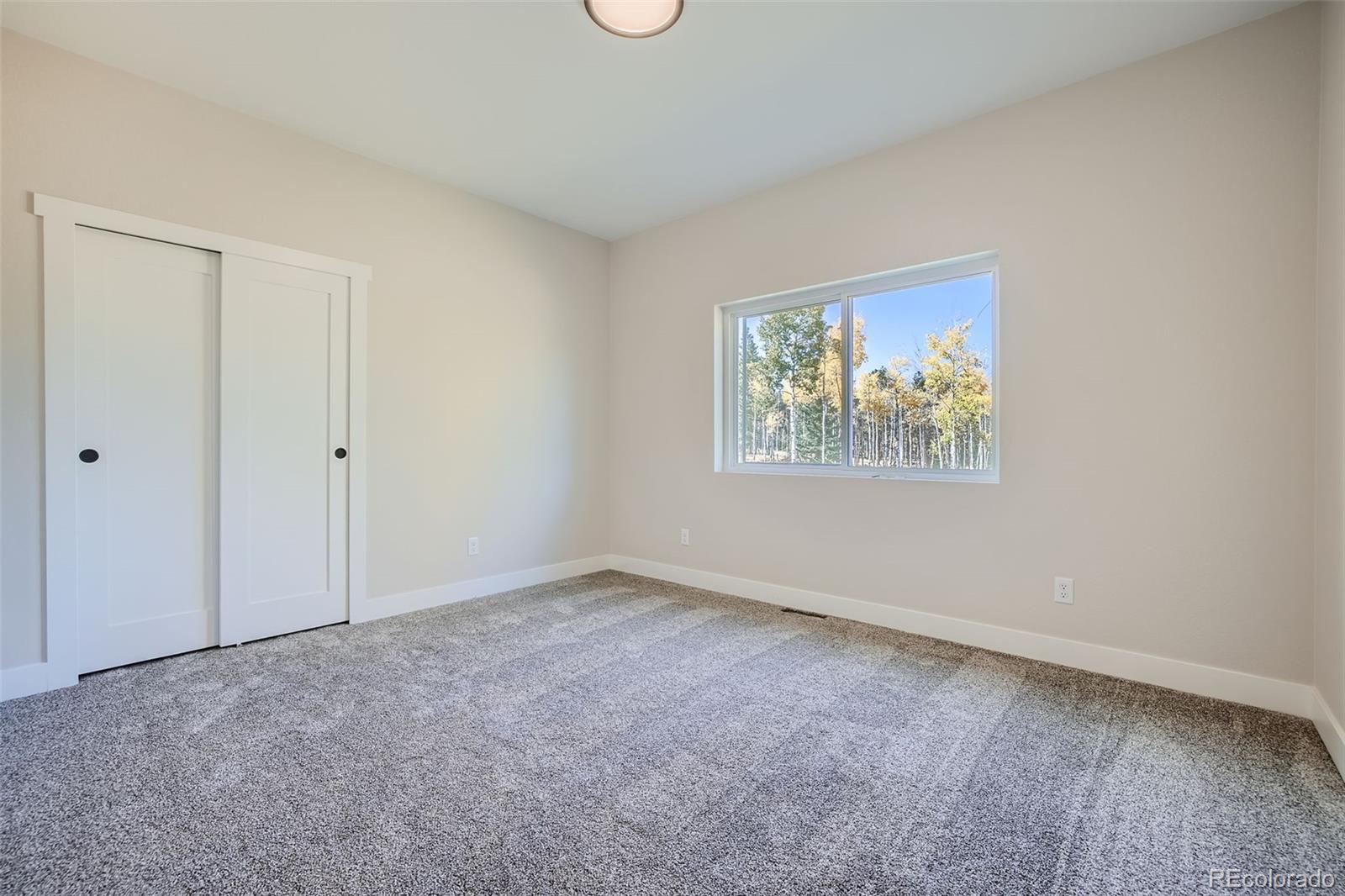 MLS Image #20 for 1313  stone ridge drive,woodland park, Colorado