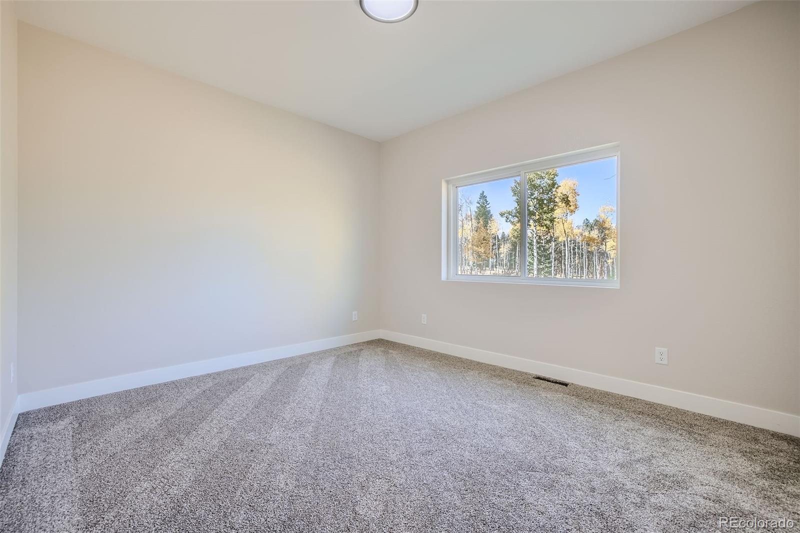 MLS Image #22 for 1313  stone ridge drive,woodland park, Colorado