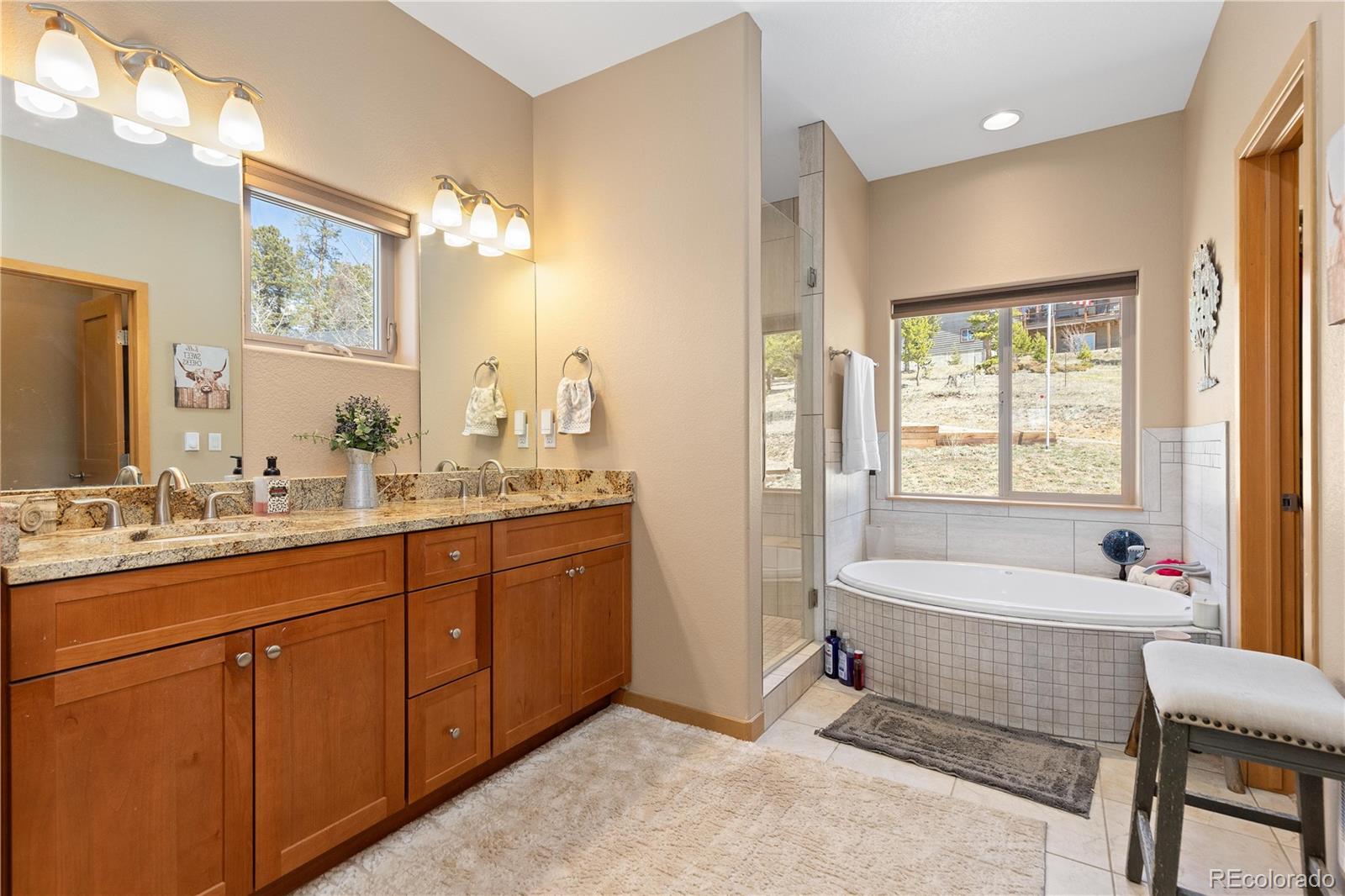 MLS Image #18 for 11033  barker avenue,conifer, Colorado