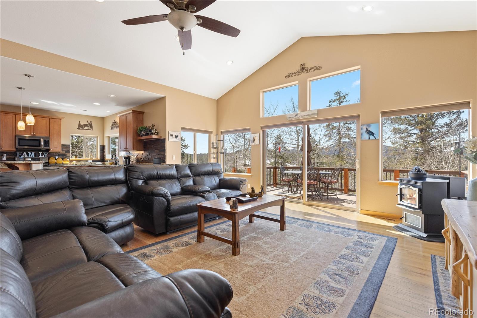 MLS Image #6 for 11033  barker avenue,conifer, Colorado