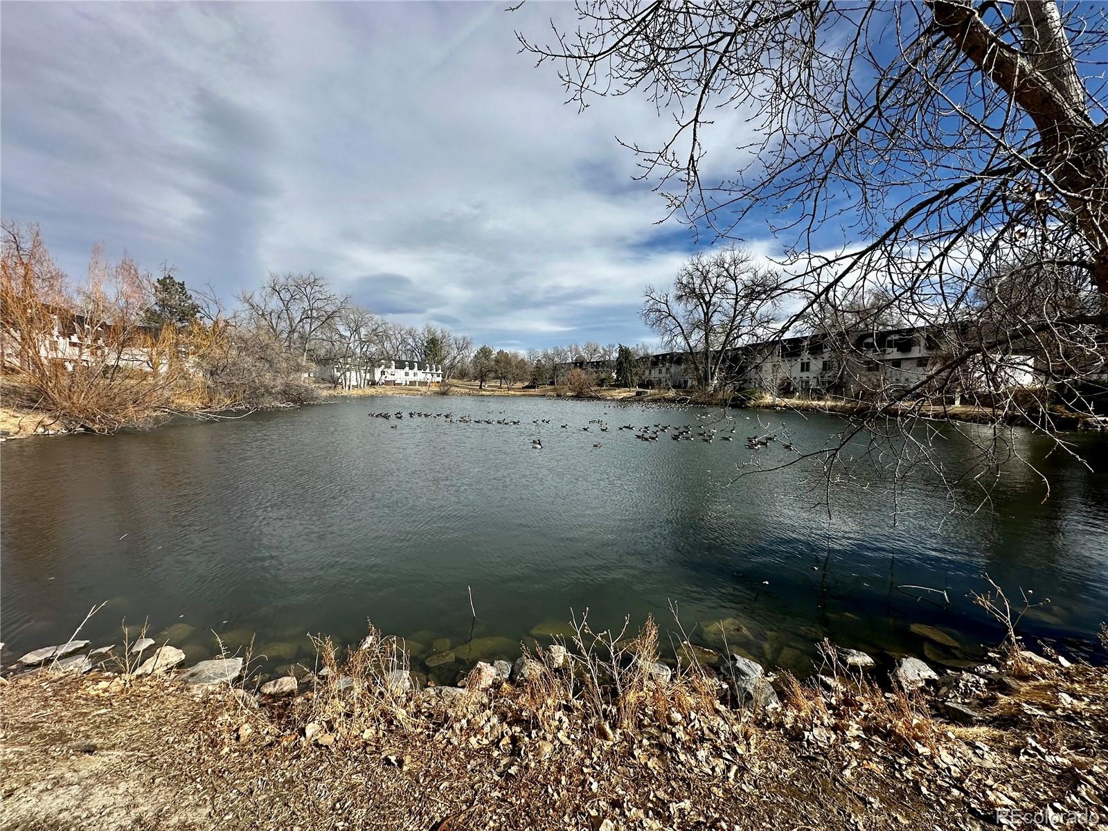 MLS Image #3 for 230 e highline circle,centennial, Colorado