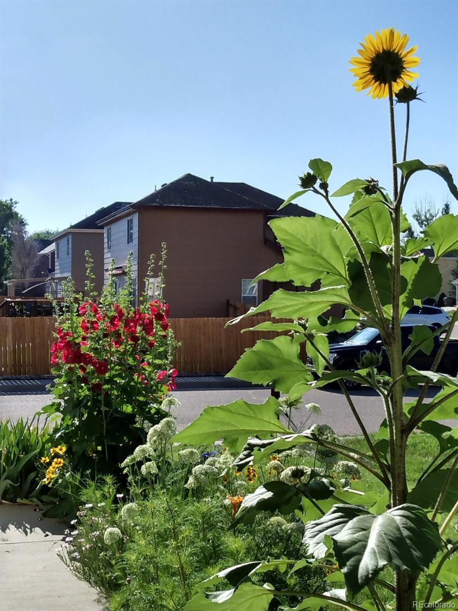 MLS Image #26 for 277  turf trail place ,fountain, Colorado