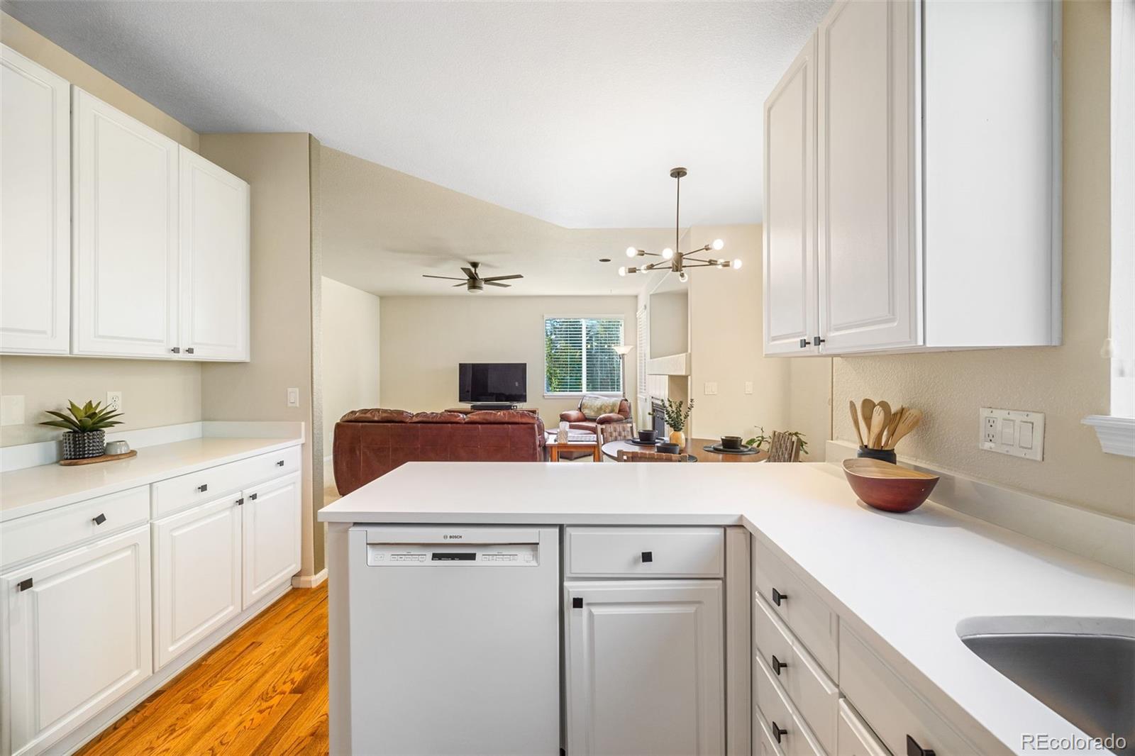 MLS Image #11 for 10915  acadia lane,parker, Colorado