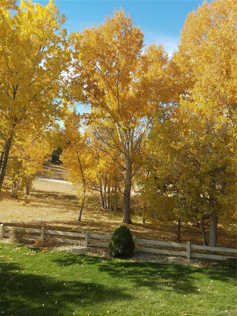 MLS Image #41 for 10915  acadia lane,parker, Colorado
