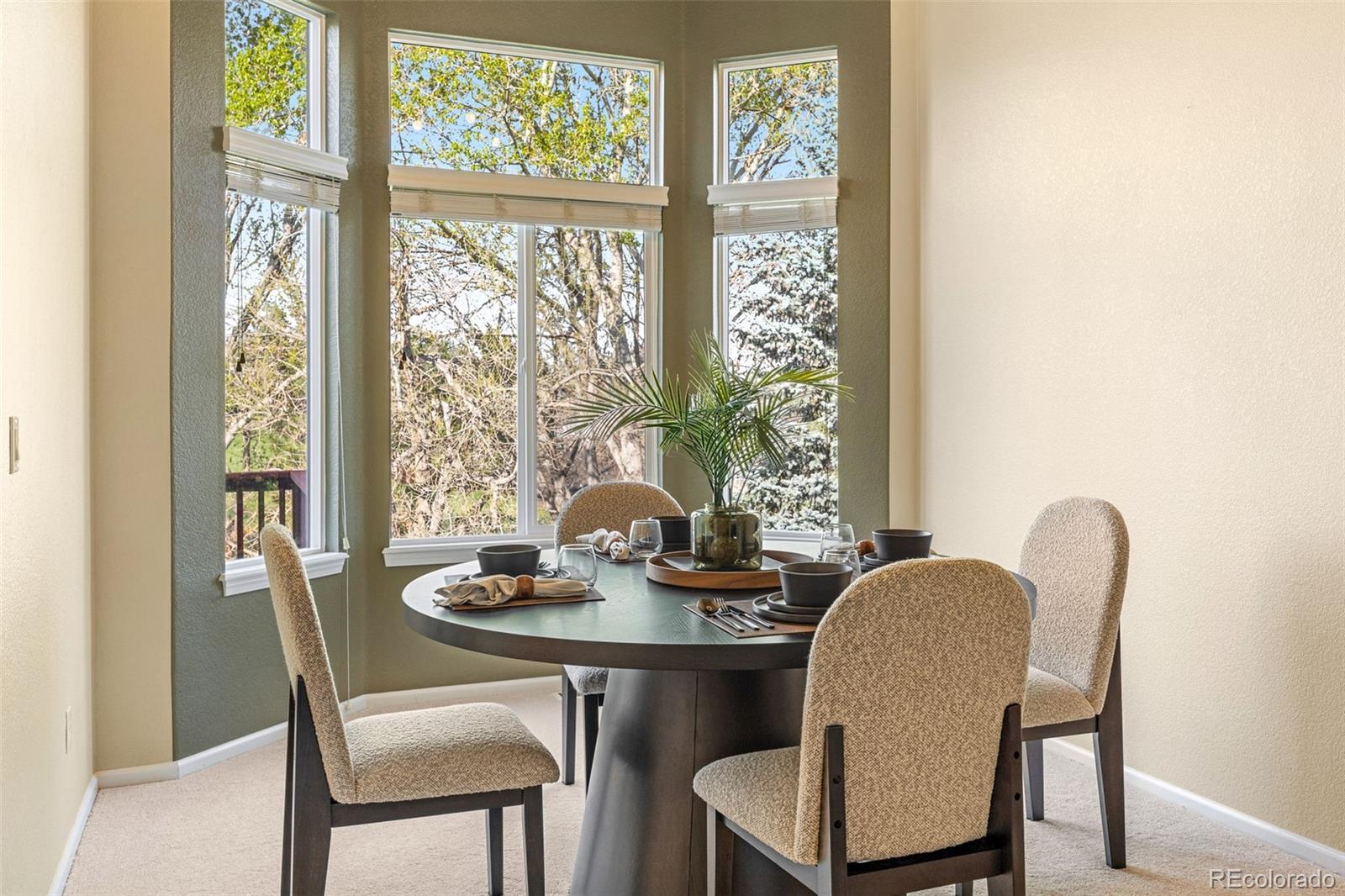 MLS Image #8 for 10915  acadia lane,parker, Colorado
