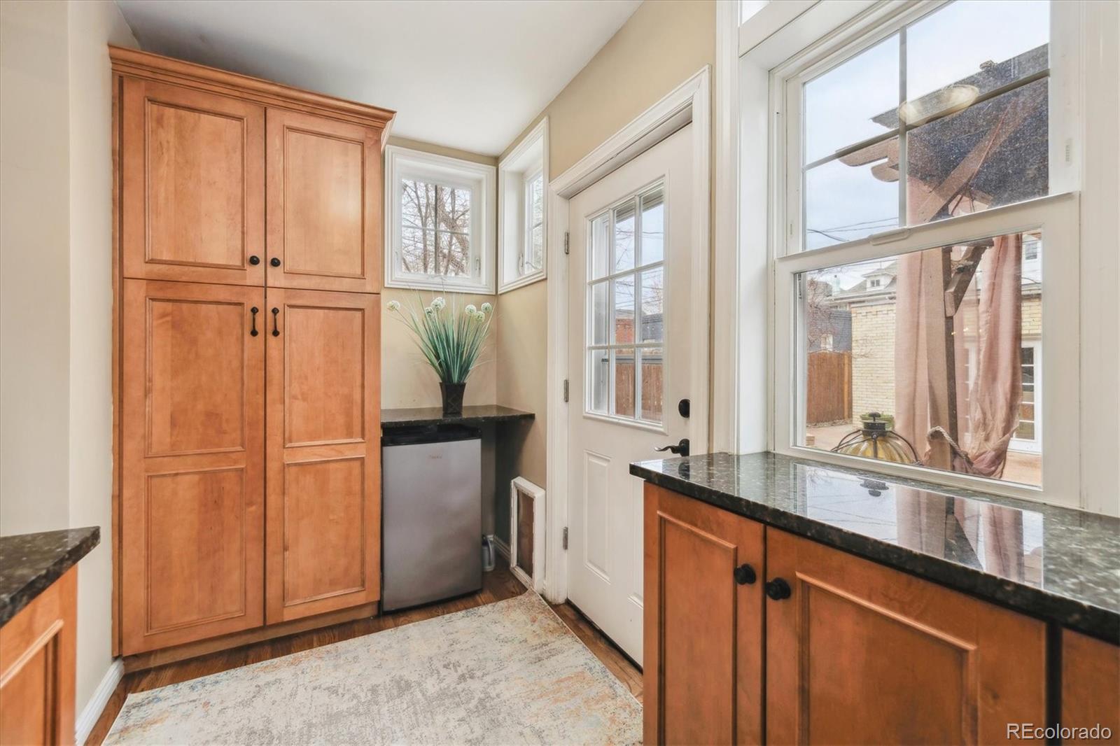 MLS Image #12 for 263 n logan street,denver, Colorado