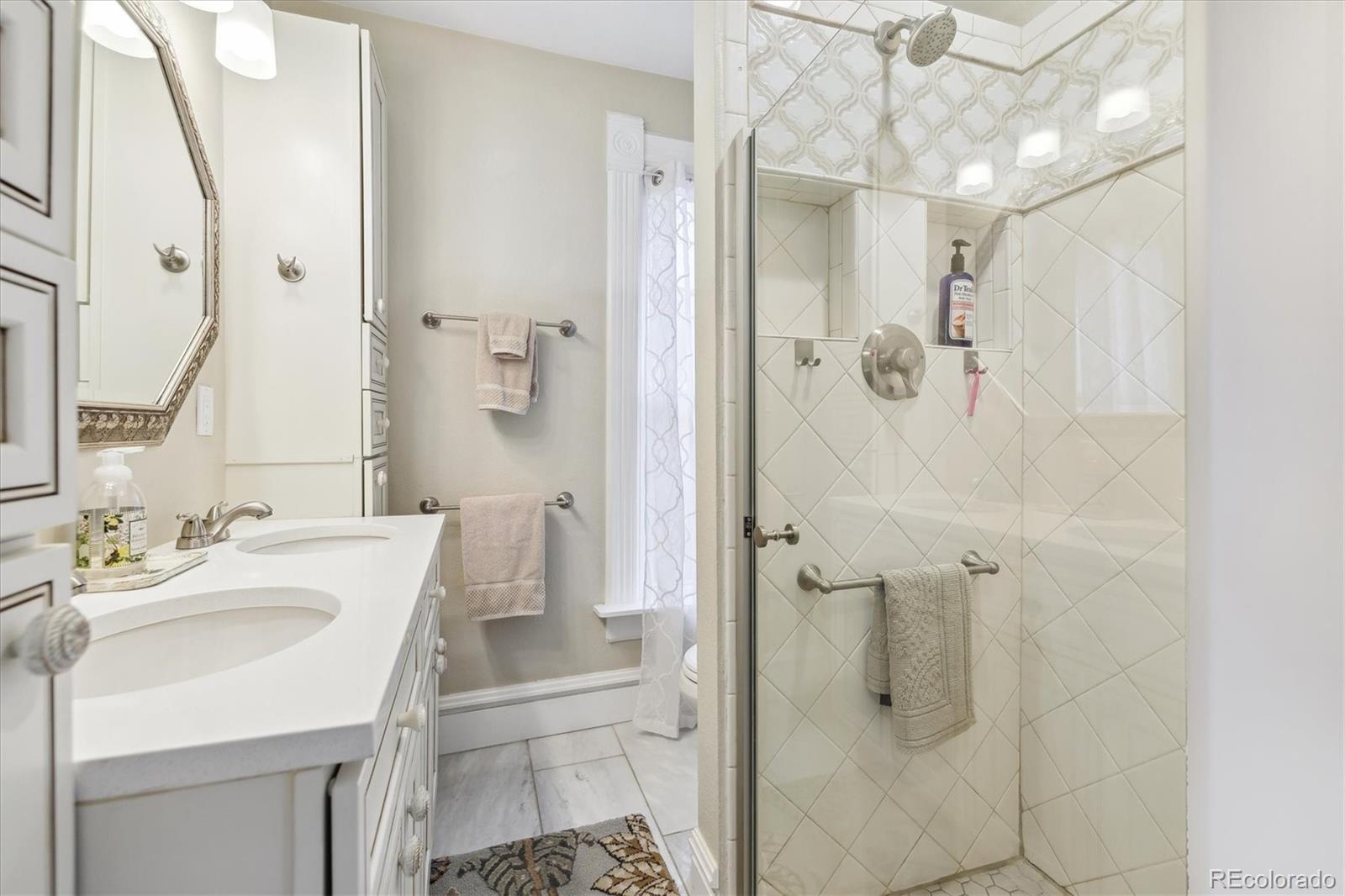 MLS Image #20 for 263 n logan street,denver, Colorado