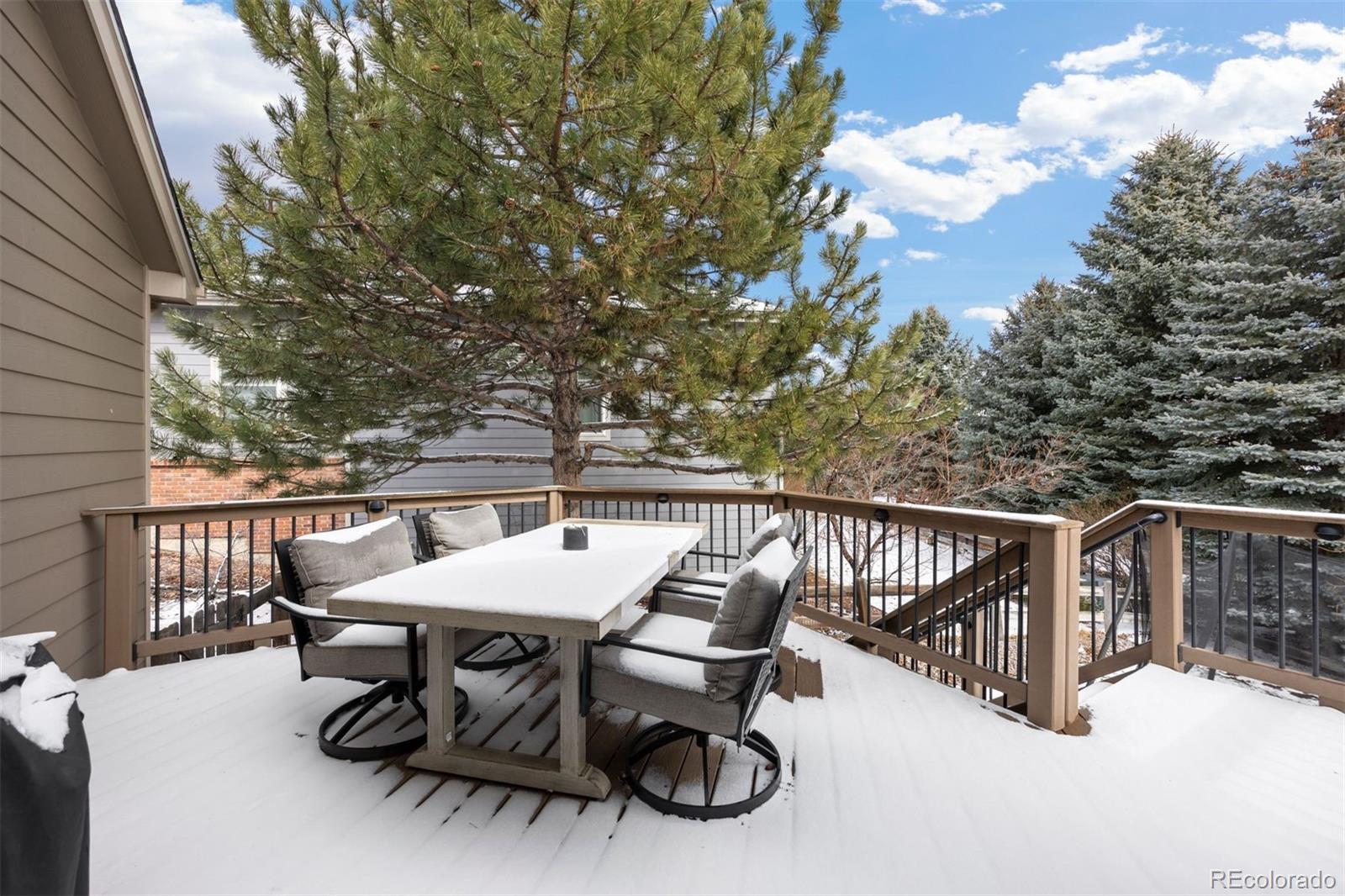 MLS Image #5 for 7099  cerney circle,castle pines, Colorado