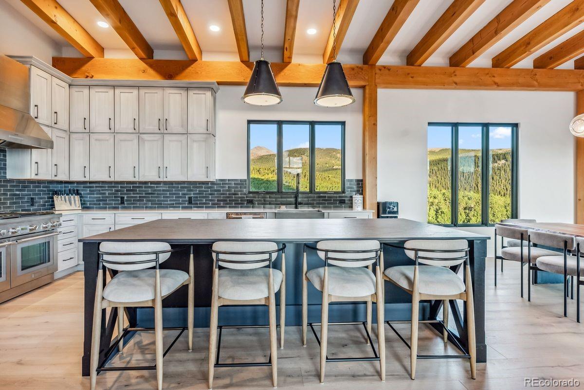 MLS Image #23 for 43  granite circle,leadville, Colorado