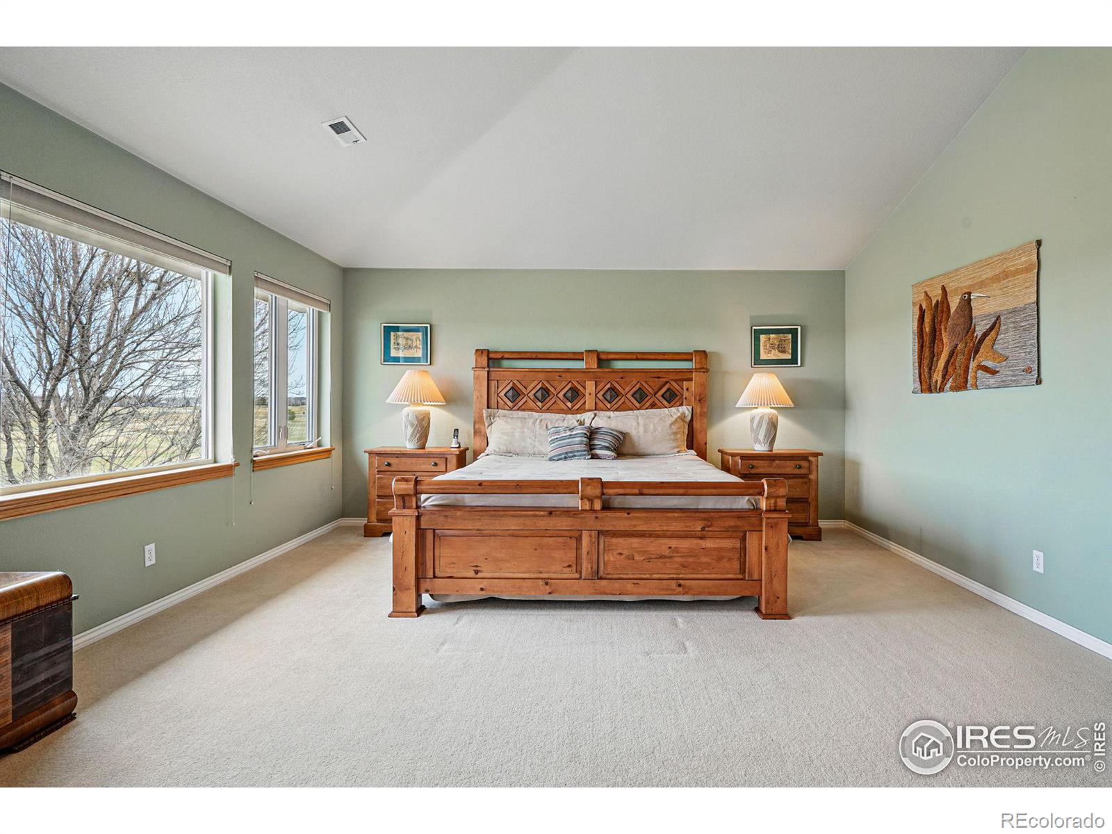 MLS Image #14 for 1145  wyndemere circle,longmont, Colorado