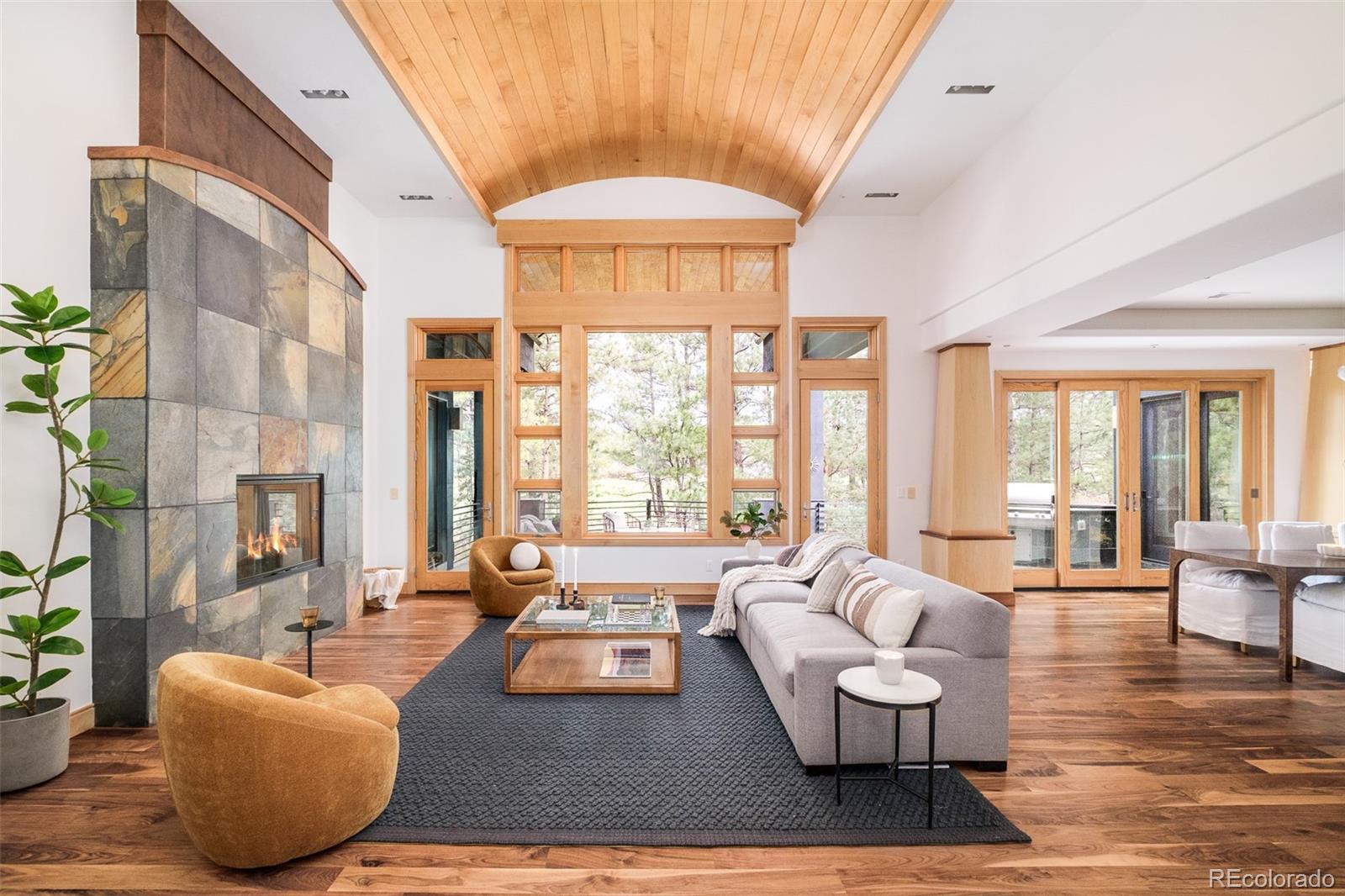 MLS Image #6 for 1070  cypress way,castle rock, Colorado