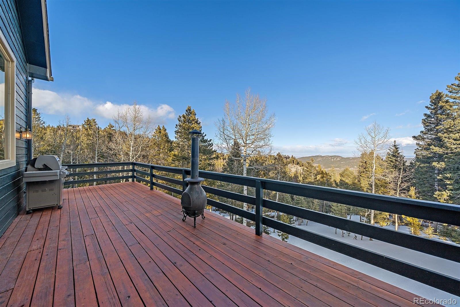 MLS Image #10 for 11222  conifer mountain road,conifer, Colorado