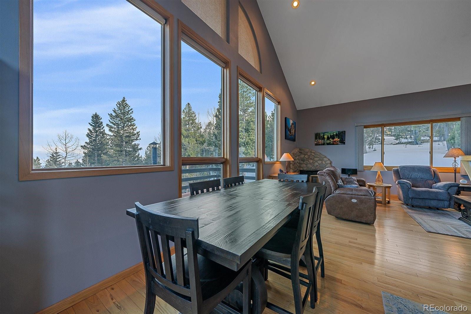 MLS Image #11 for 11222  conifer mountain road,conifer, Colorado