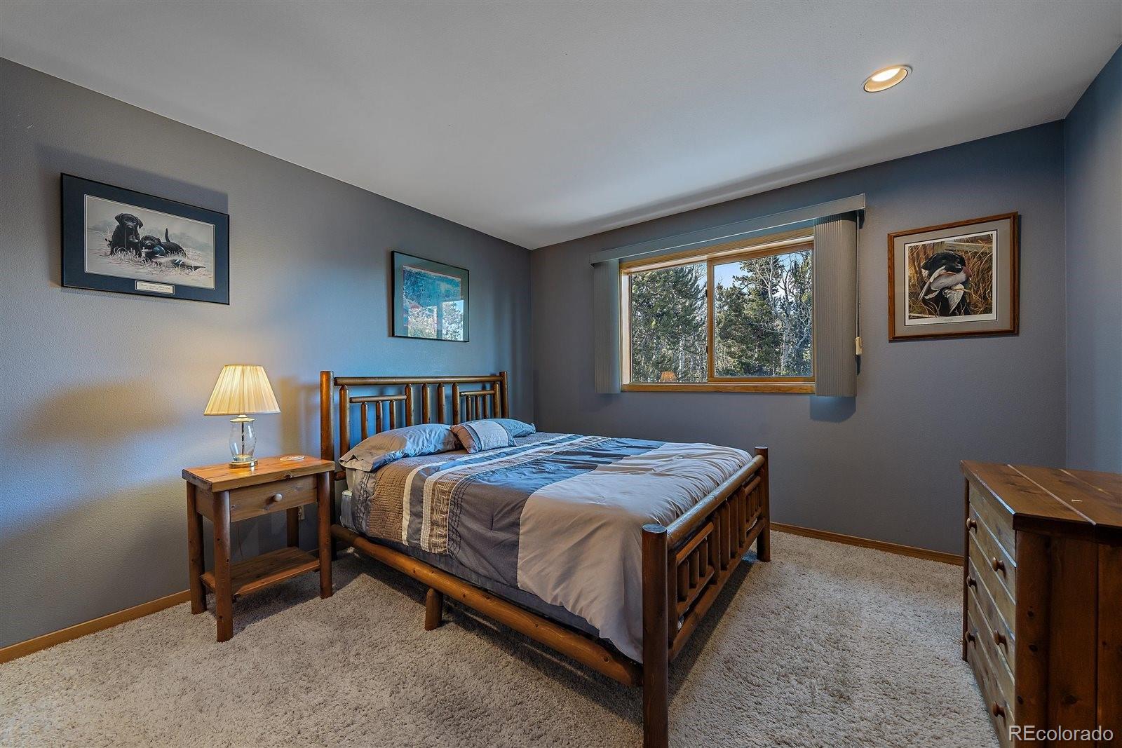 MLS Image #19 for 11222  conifer mountain road,conifer, Colorado