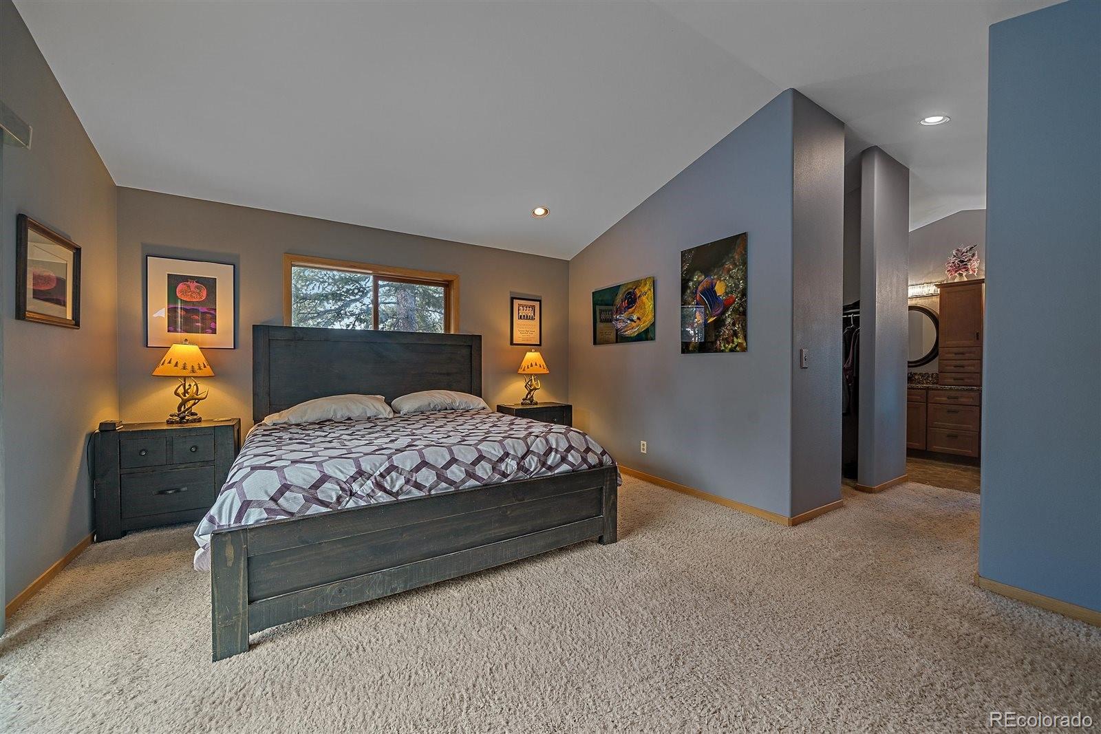 MLS Image #25 for 11222  conifer mountain road,conifer, Colorado