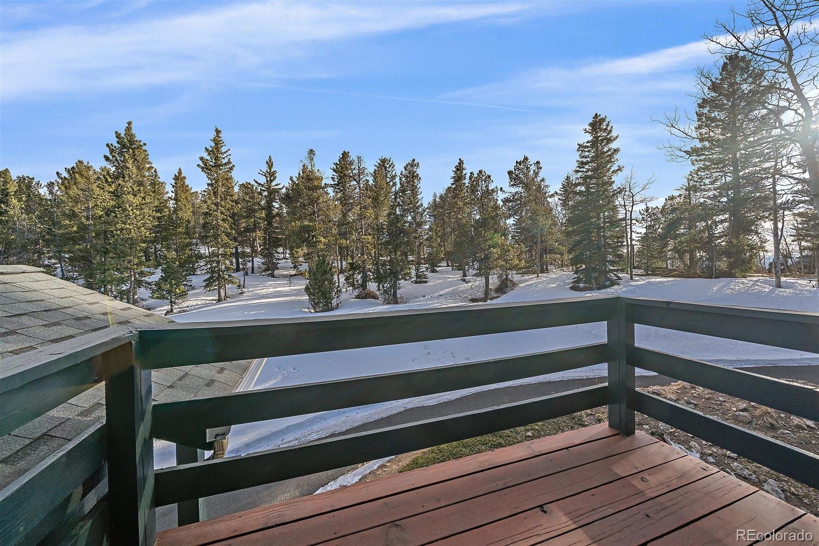 MLS Image #27 for 11222  conifer mountain road,conifer, Colorado