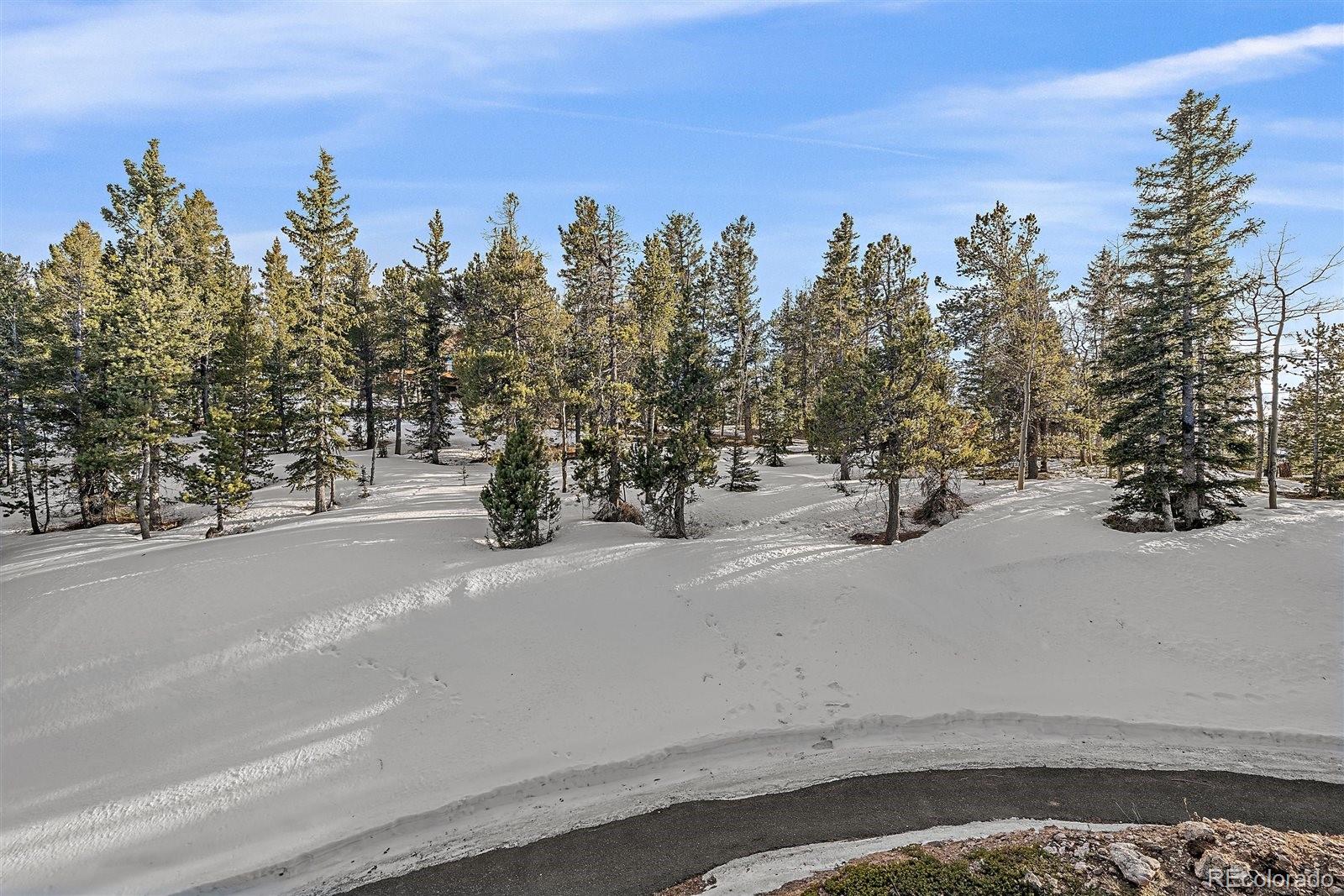 MLS Image #28 for 11222  conifer mountain road,conifer, Colorado