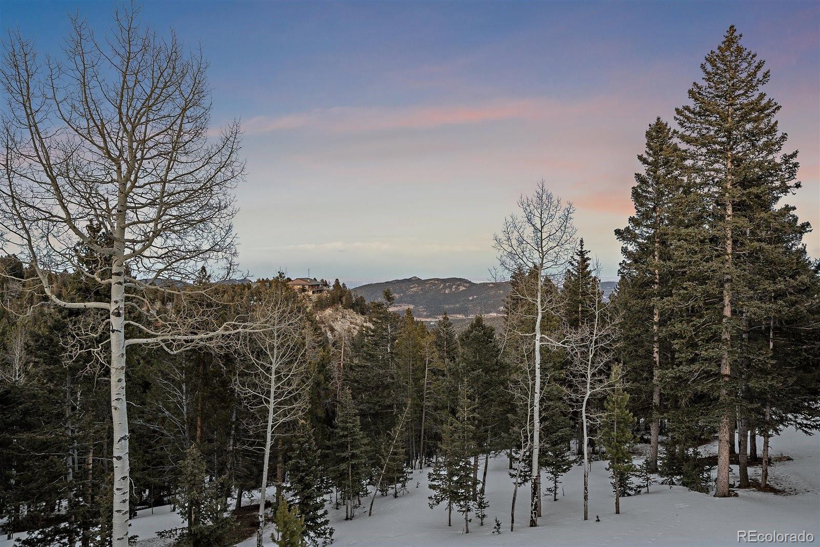 MLS Image #41 for 11222  conifer mountain road,conifer, Colorado