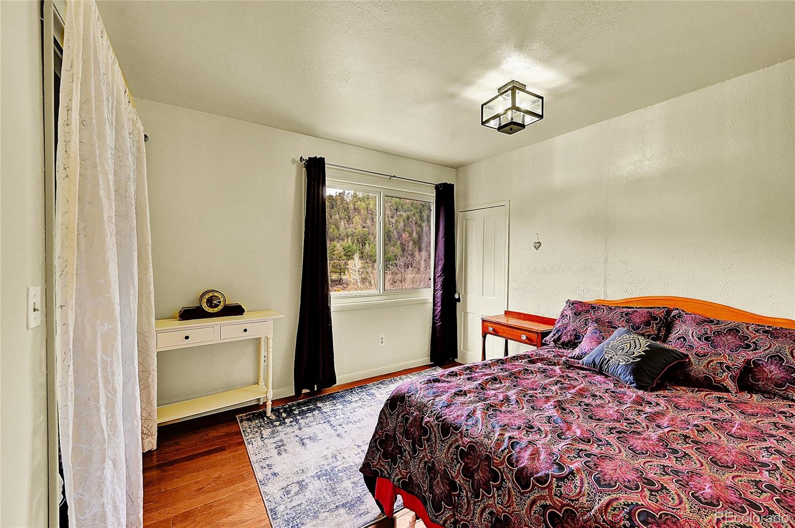 MLS Image #14 for 810  miner street,idaho springs, Colorado